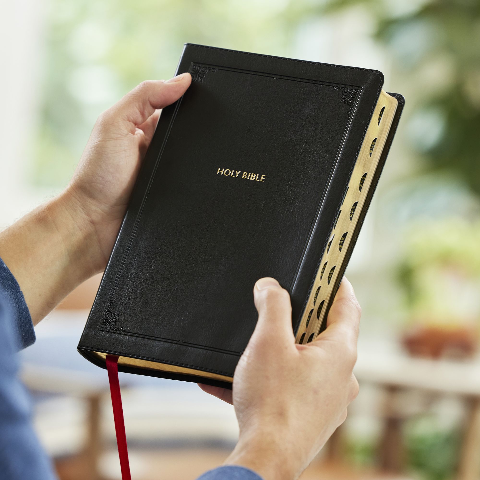 KJV Giant Print End-of-Verse Reference Bible, Black Leathersoft, Red Letter, Comfort Print (Thumb Indexed)