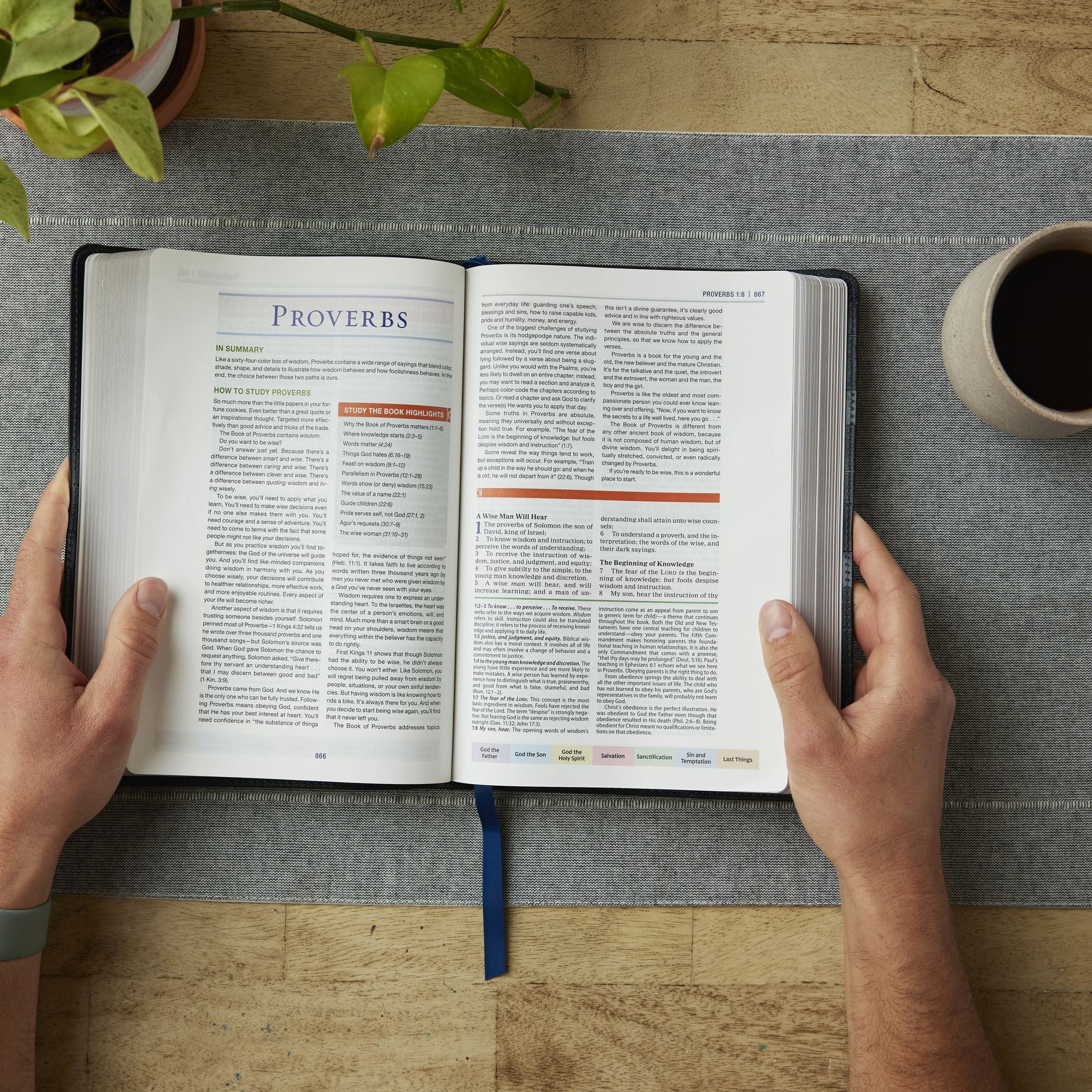 Color Code Study Bible, Revealing God's Truth Color by Color (KJV, Hardcover, Red Letter)