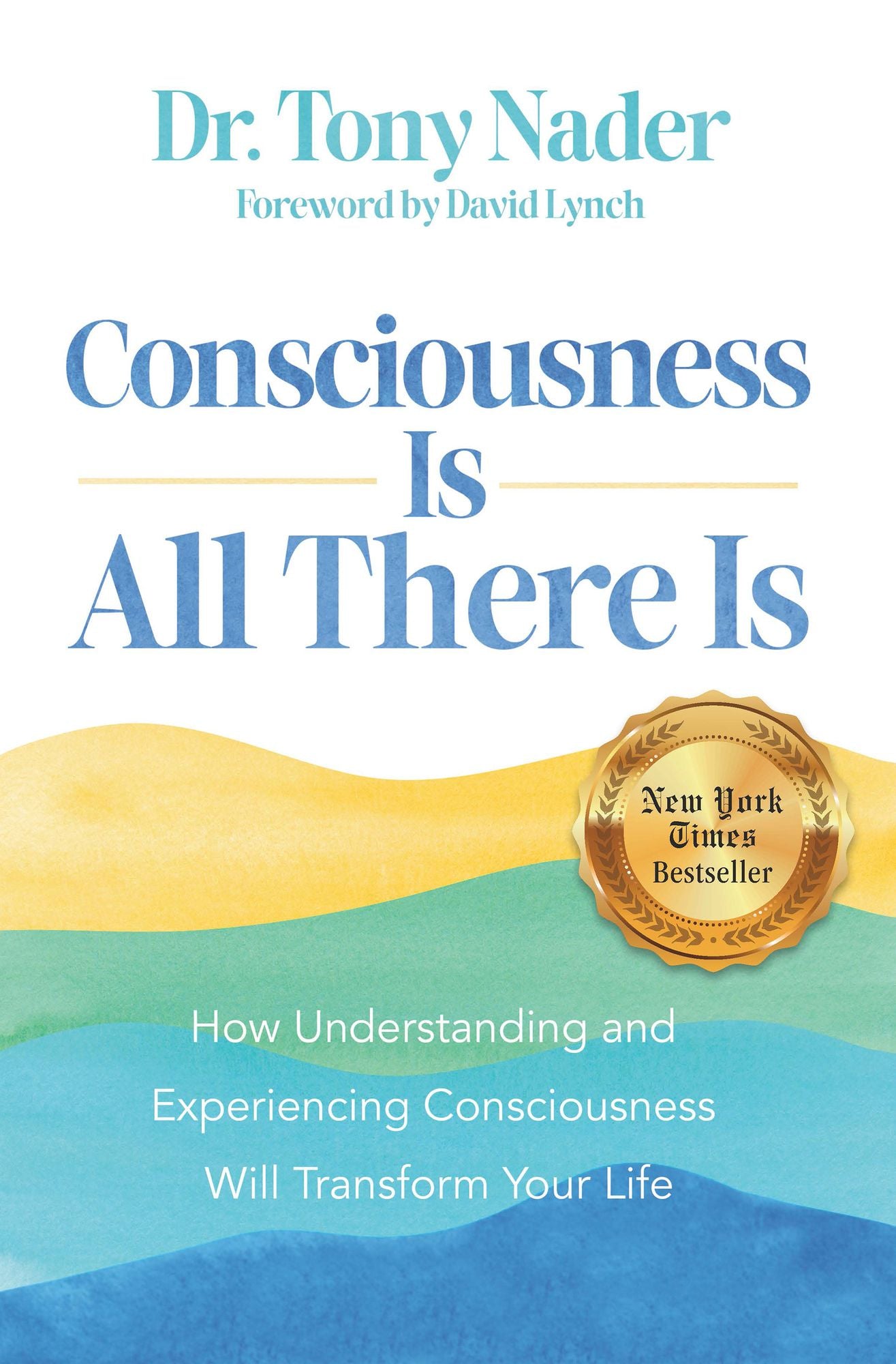 Consciousness Is All There Is: How Understanding and Experiencing Consciousness Will Transform Your Life