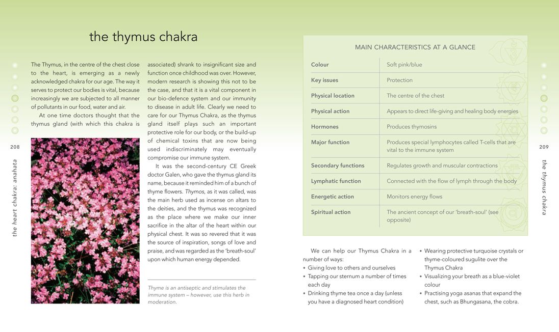 The Chakra Bible: The Definitive Guide to Working with Chakras