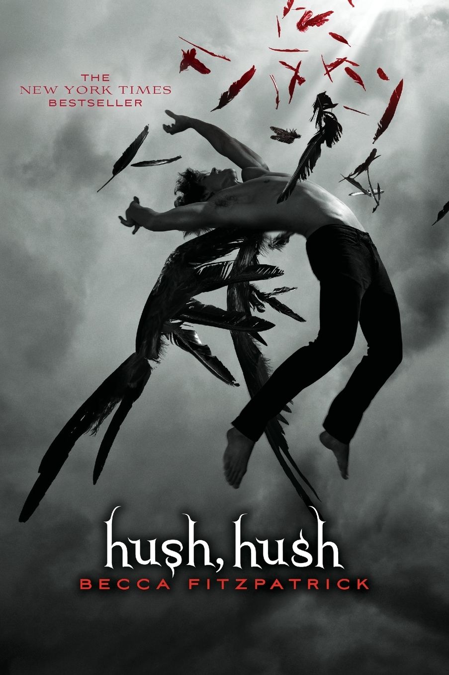 Hush, Hush (Hush, Hush Saga Series #1)