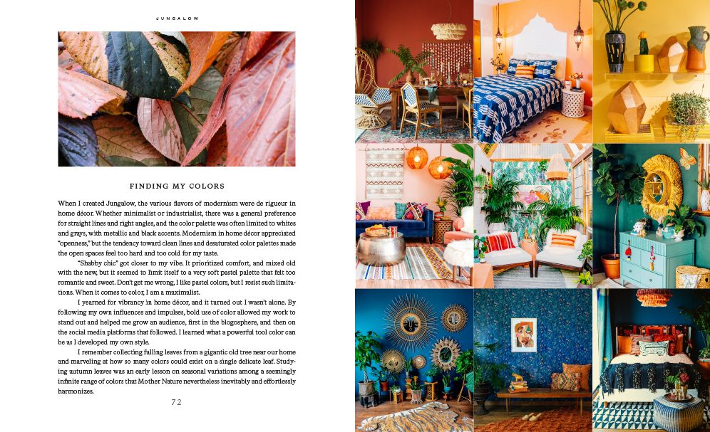 Jungalow: Decorate Wild