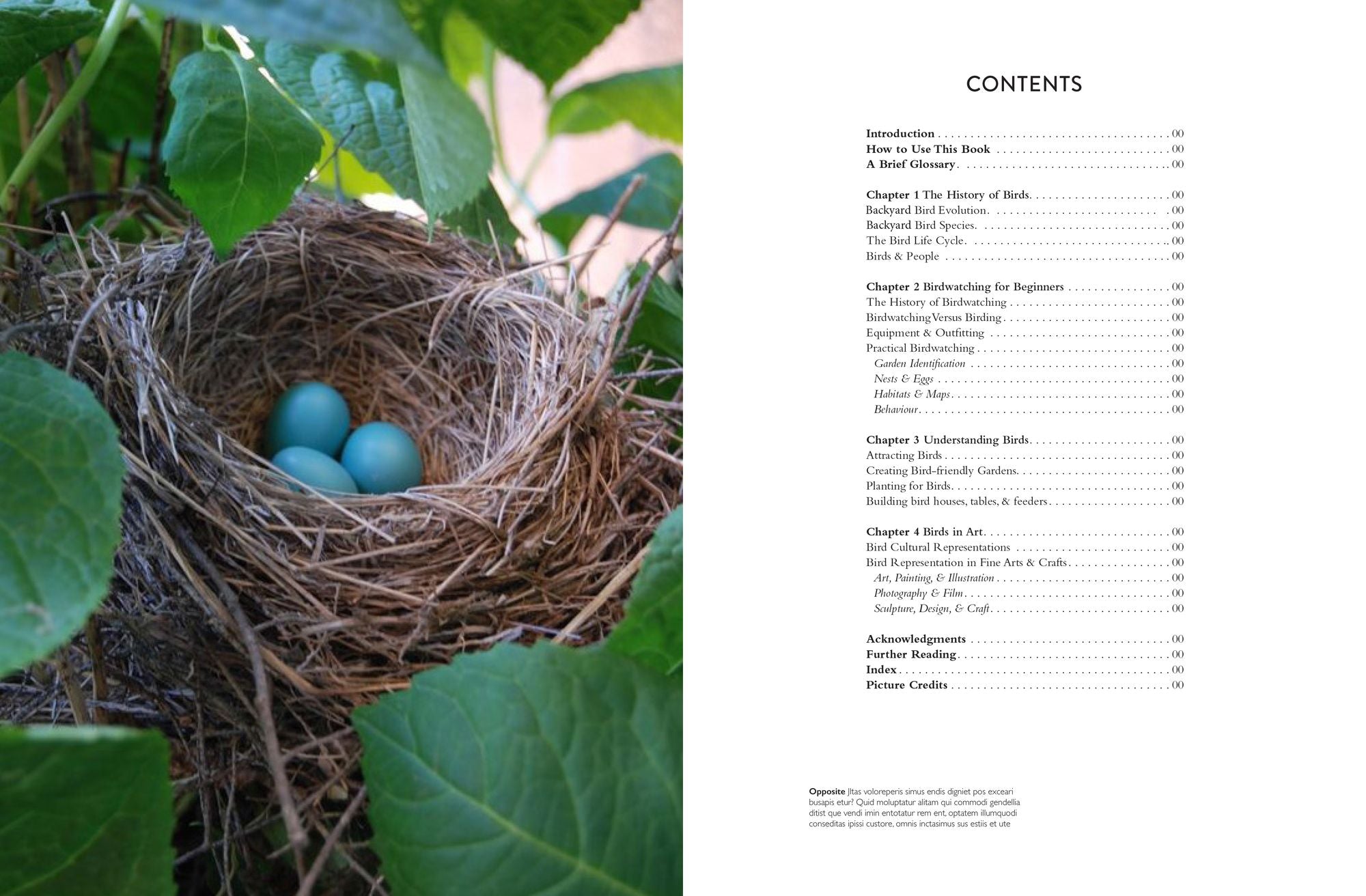 The Backyard Birdwatcher's Bible: Birds, Behaviors, Habitats, Identification, Art & Other Home Crafts