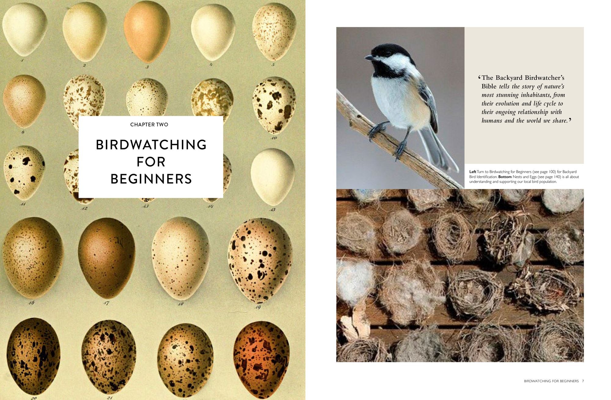 The Backyard Birdwatcher's Bible: Birds, Behaviors, Habitats, Identification, Art & Other Home Crafts