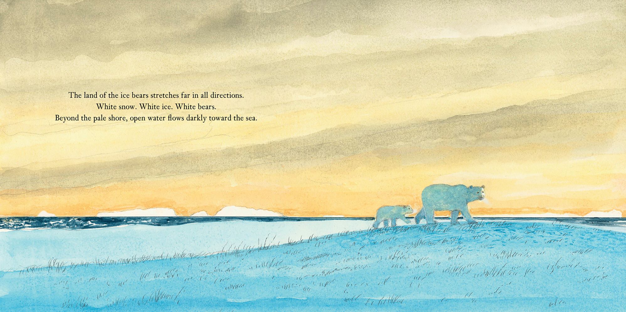 Ice Bears at Ice Edge: A Picture Book