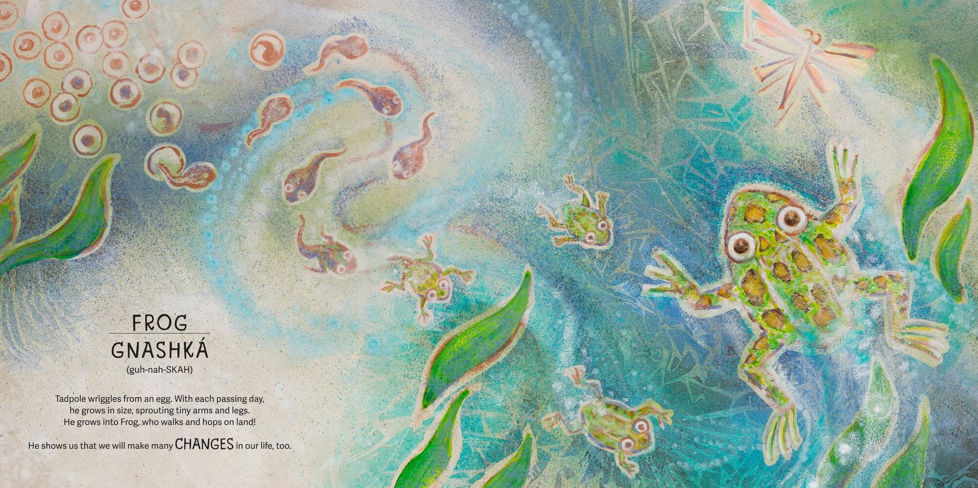 The Animals Speak: The Lakota Way (Wamakashka 'iya: Lakhol Wichoh'a Ki ) (A Picture Book)