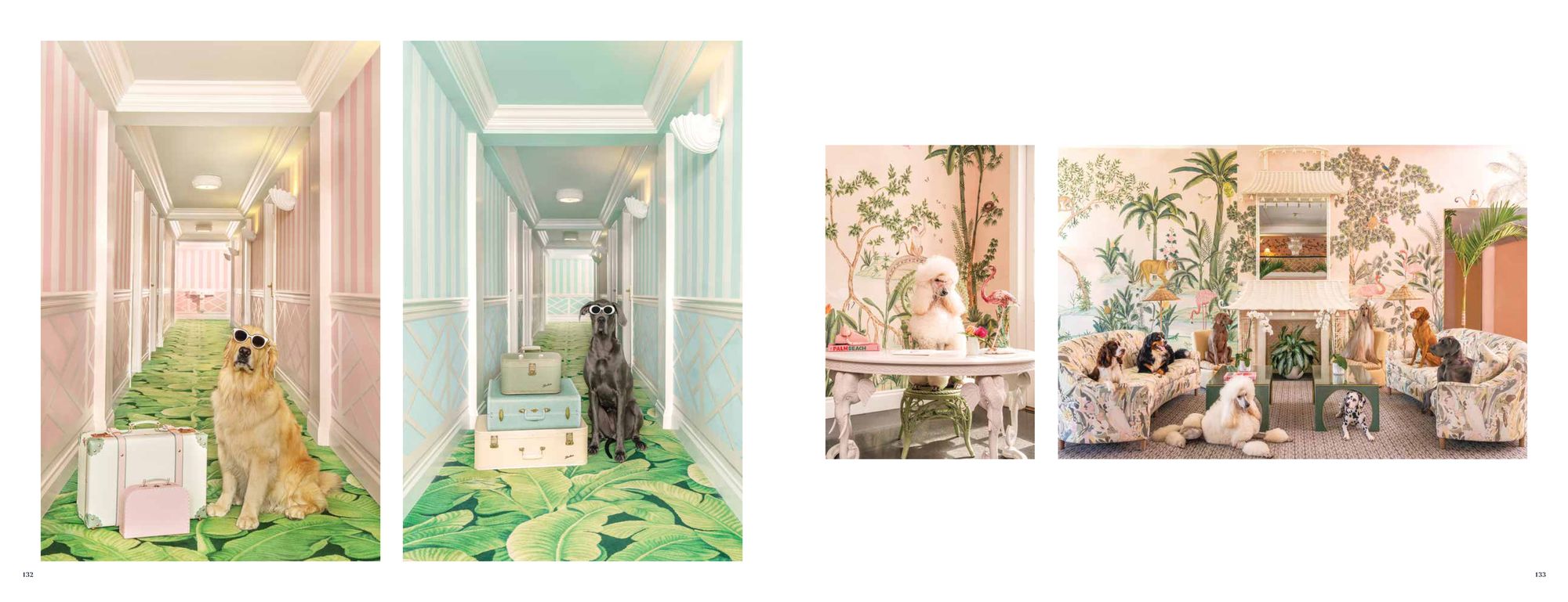 Gray Malin: Dogs