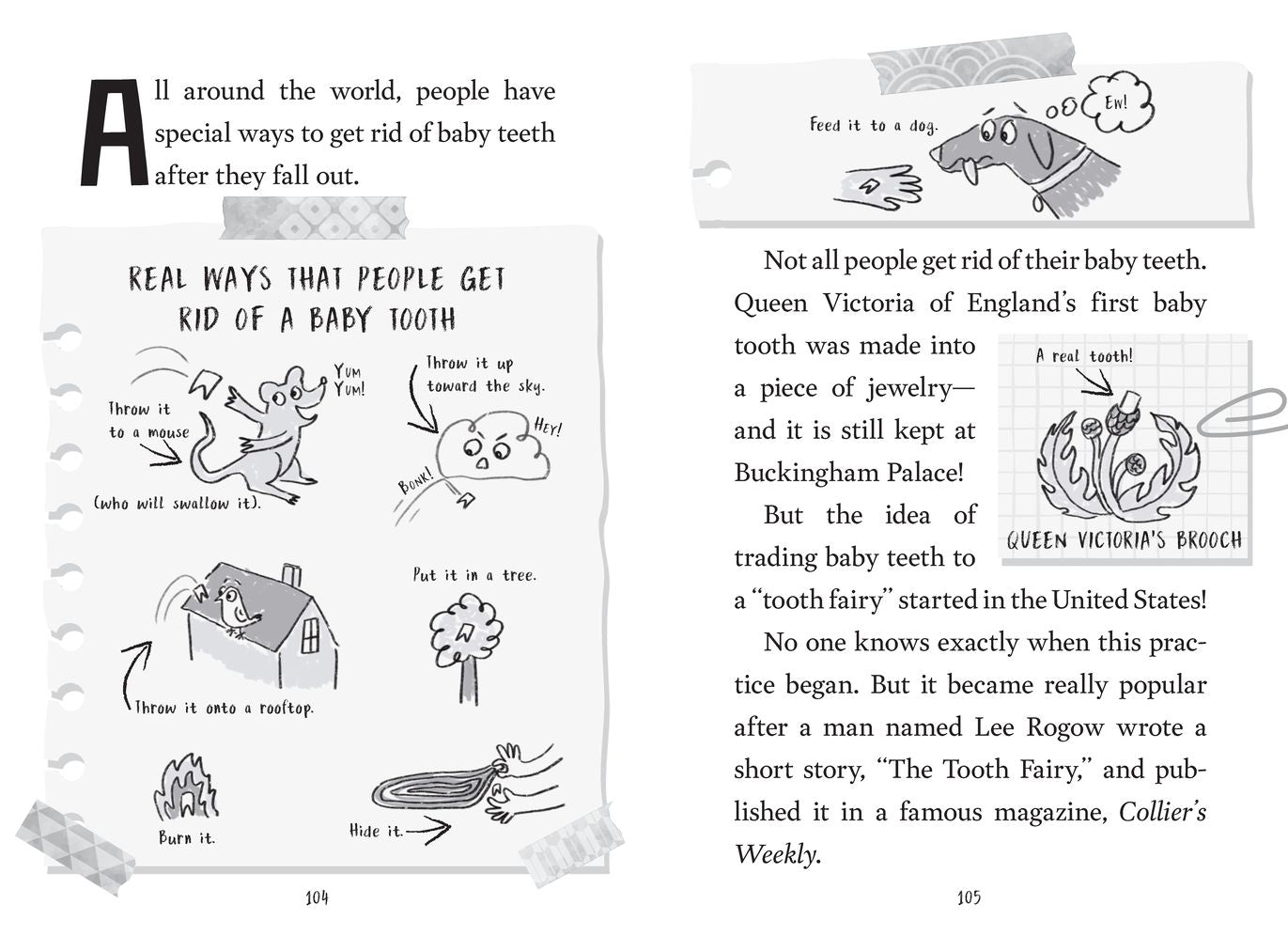 The Truth About the Tooth Fairy (Miriam's Magical Creature Files #1): A Chapter Book