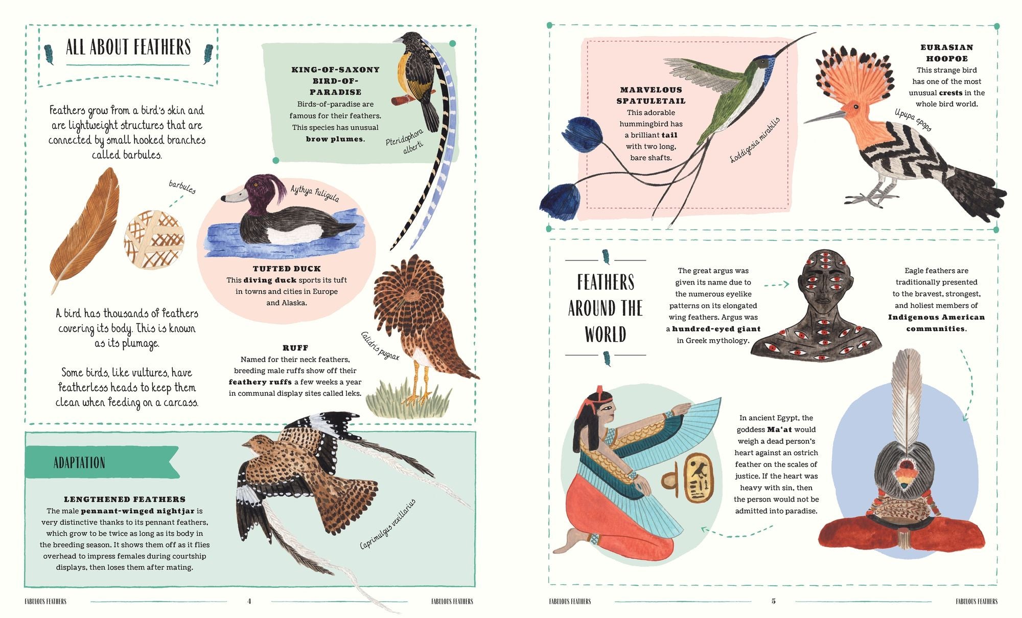 Fly: A Family Guide to Birds and How to Spot Them