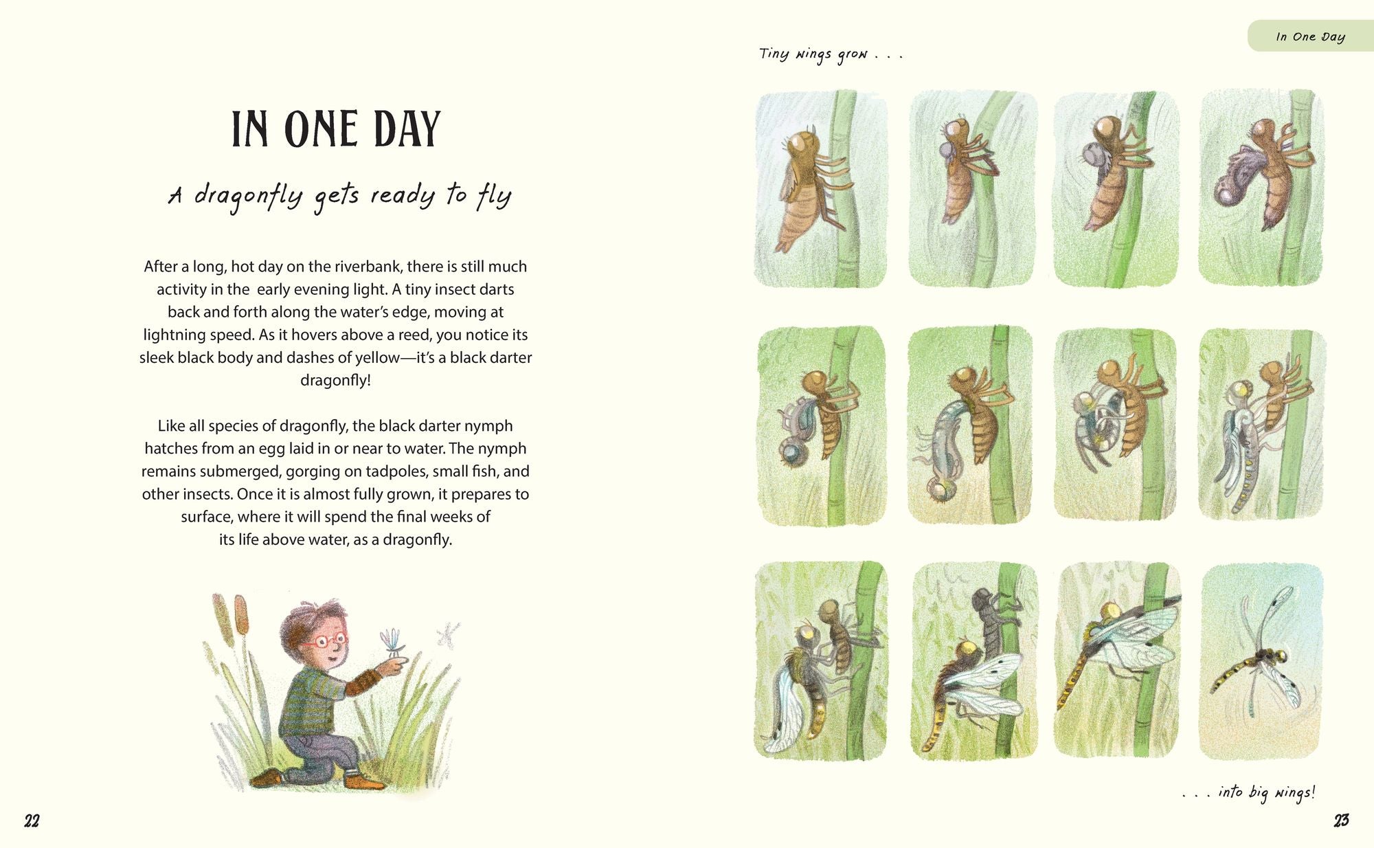 Patience . . . (A Slow Down Book): Discover How the Best Things in Life Take Time