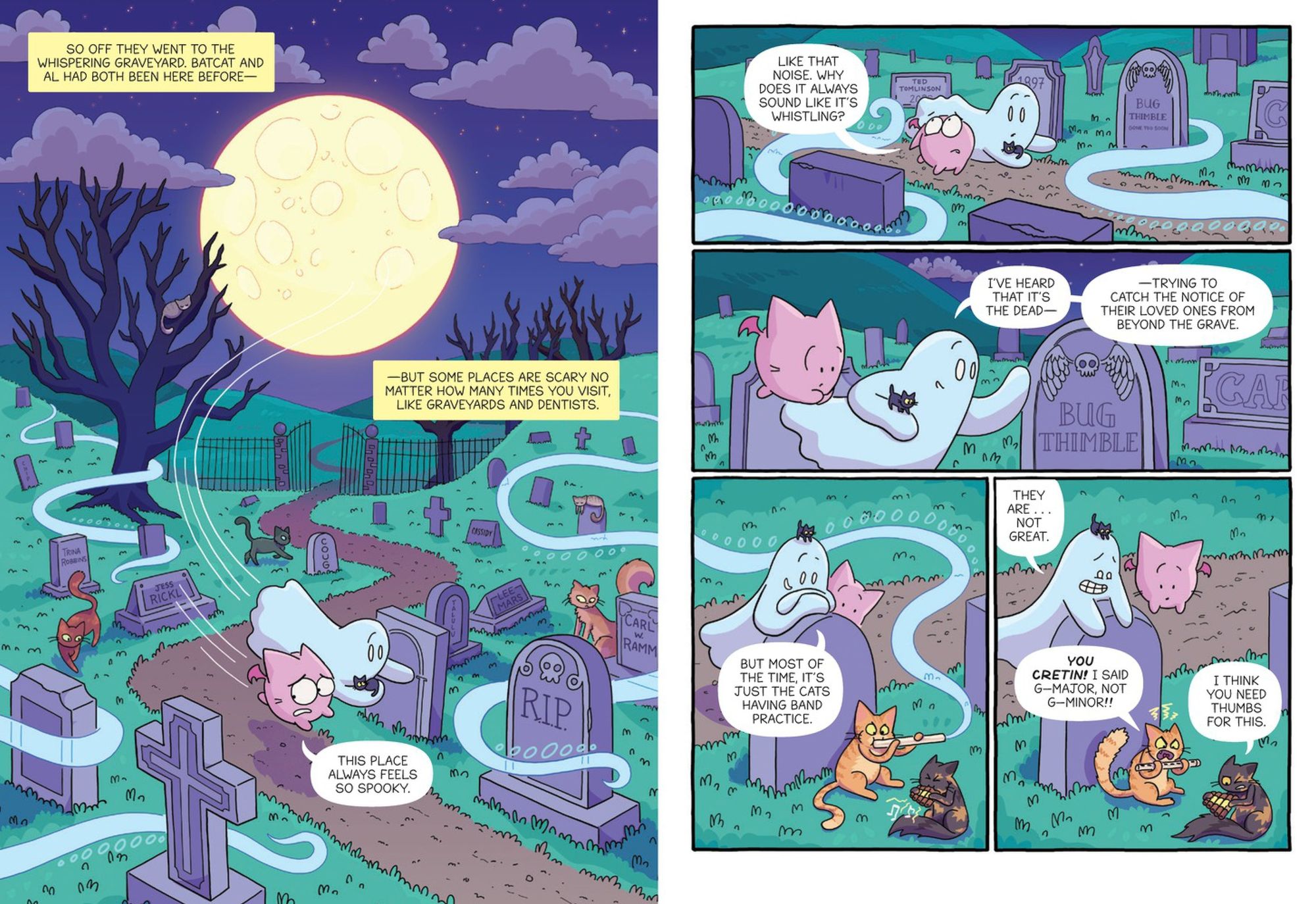 Seeing Stars! (Batcat Book #4): A Graphic Novel