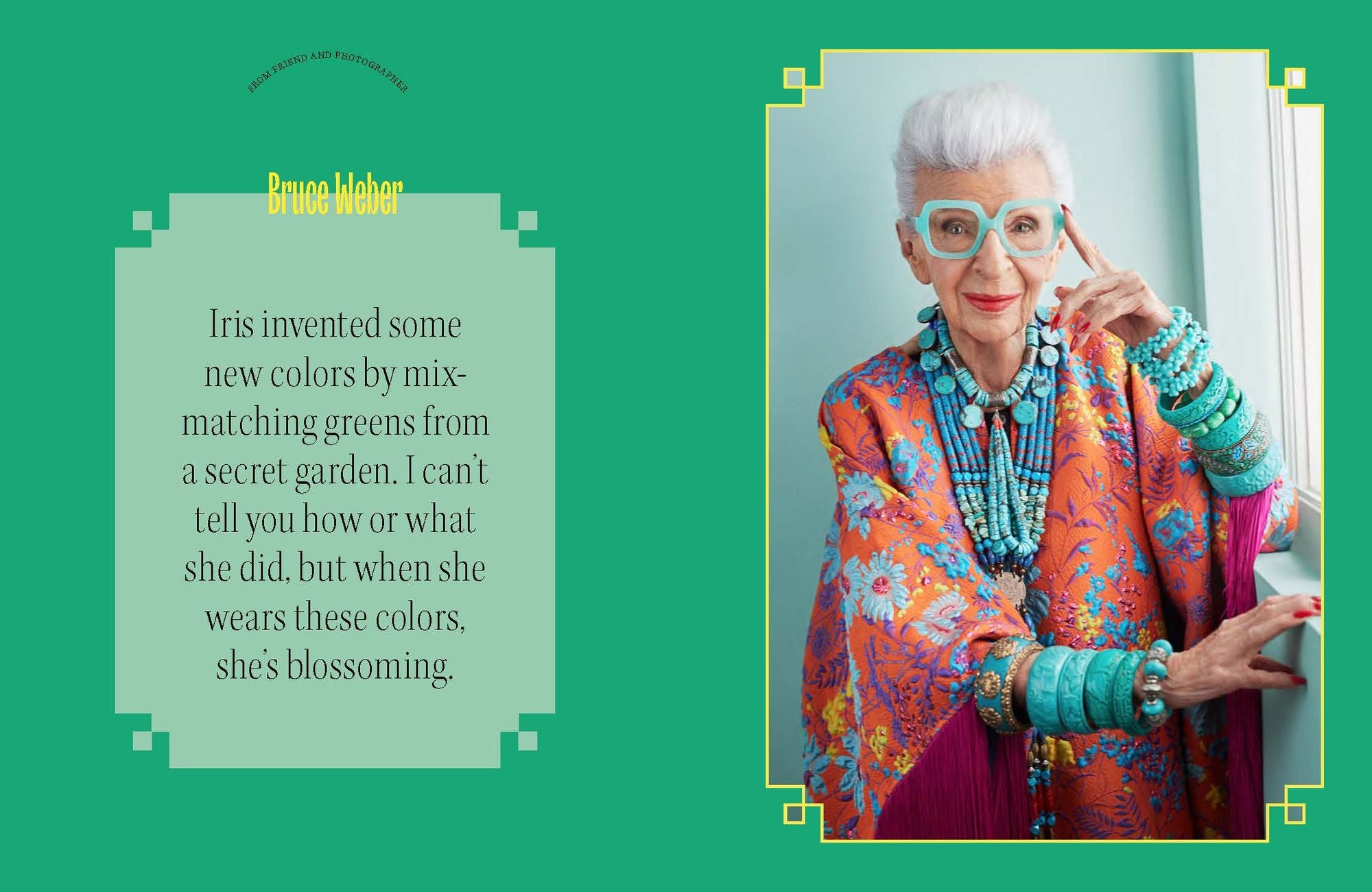 Iris Apfel: Colorful: A Treasure Trove of Inspiration, Influences, and Ideas