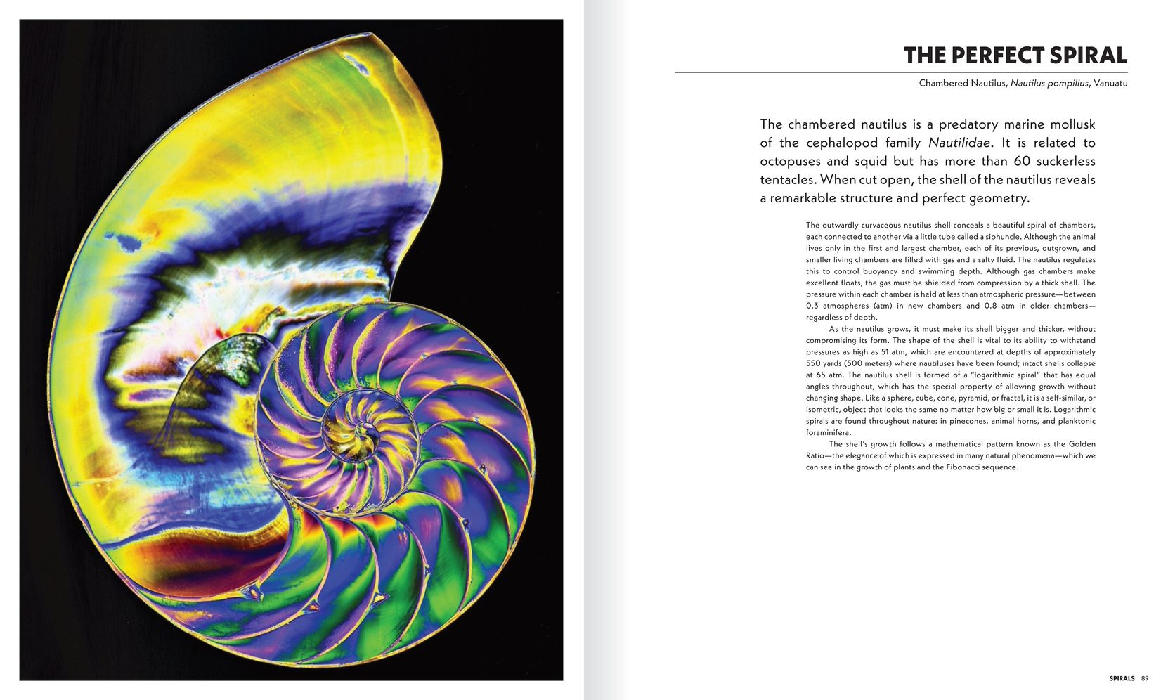 The Shape of Nature: The Intricate Patterns of Life
