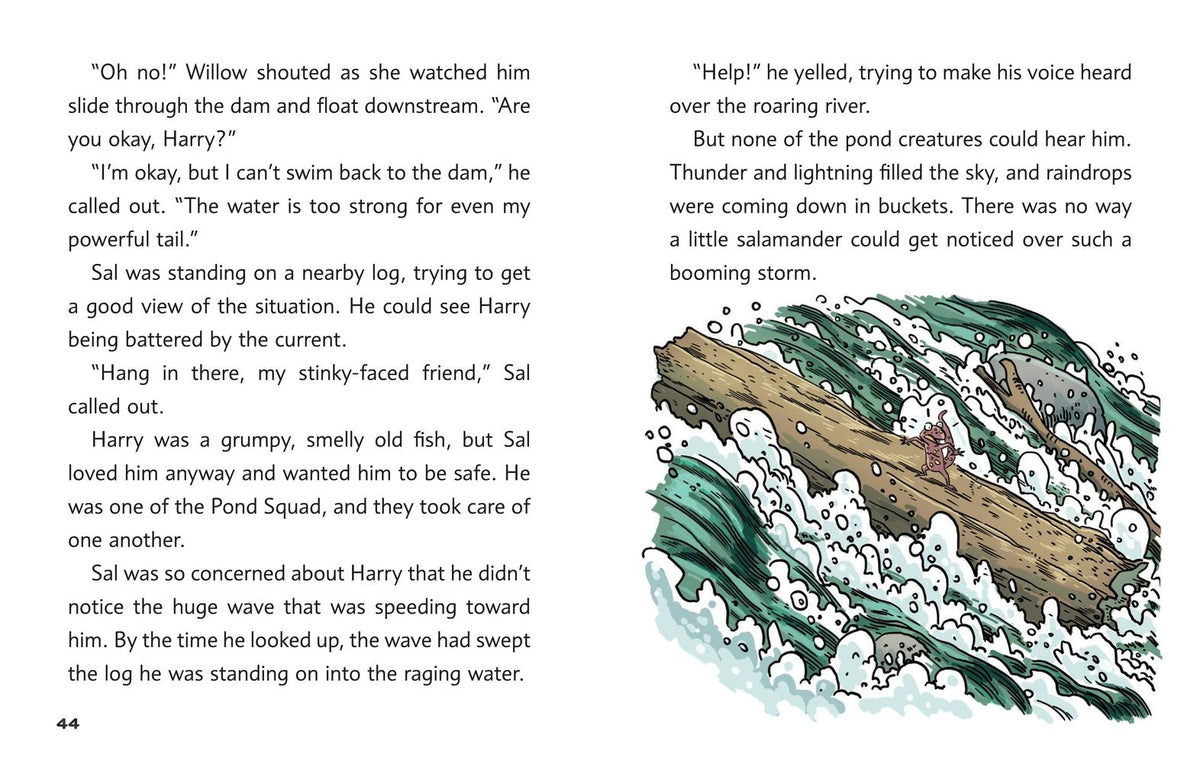 Detective Duck: The Mystery of the Flash Flood (Detective Duck #4)