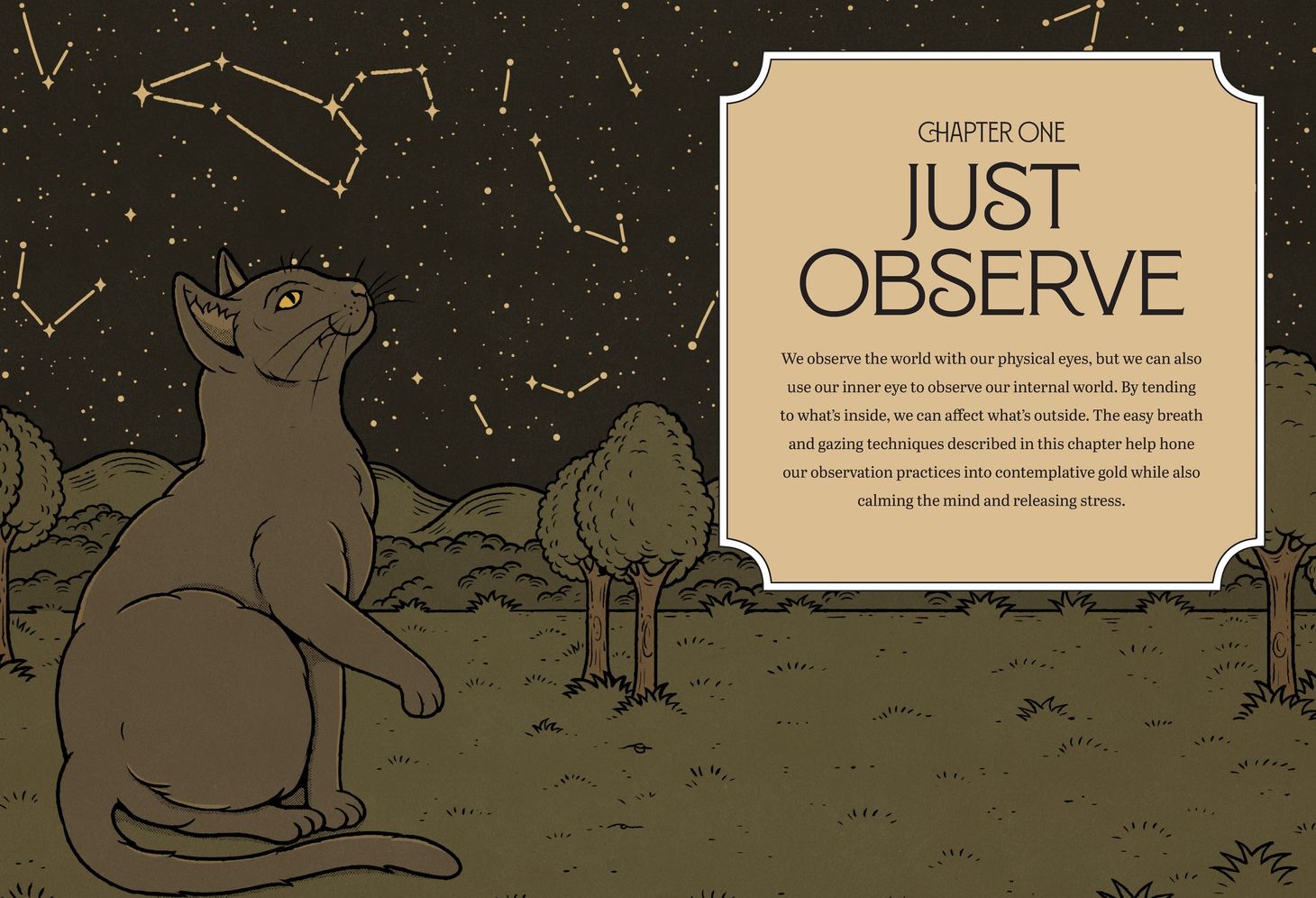 Mystic Kitty: A Cat's Guide to Meditation