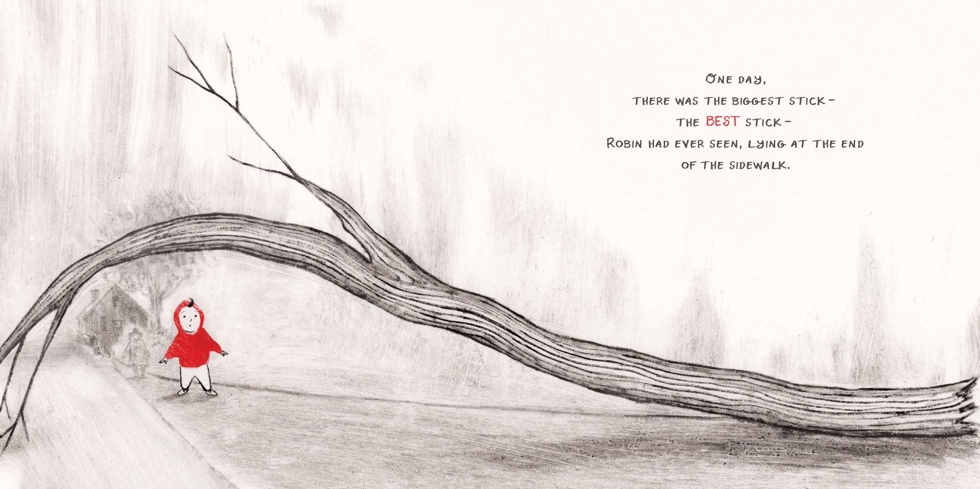 Robin and the Stick: A Picture Book