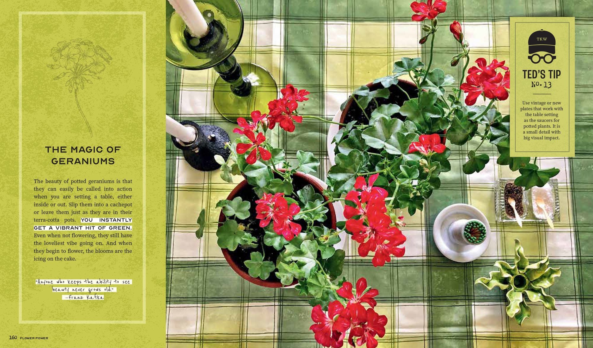 Ted Kennedy Watson's Guide to Stylish Entertaining