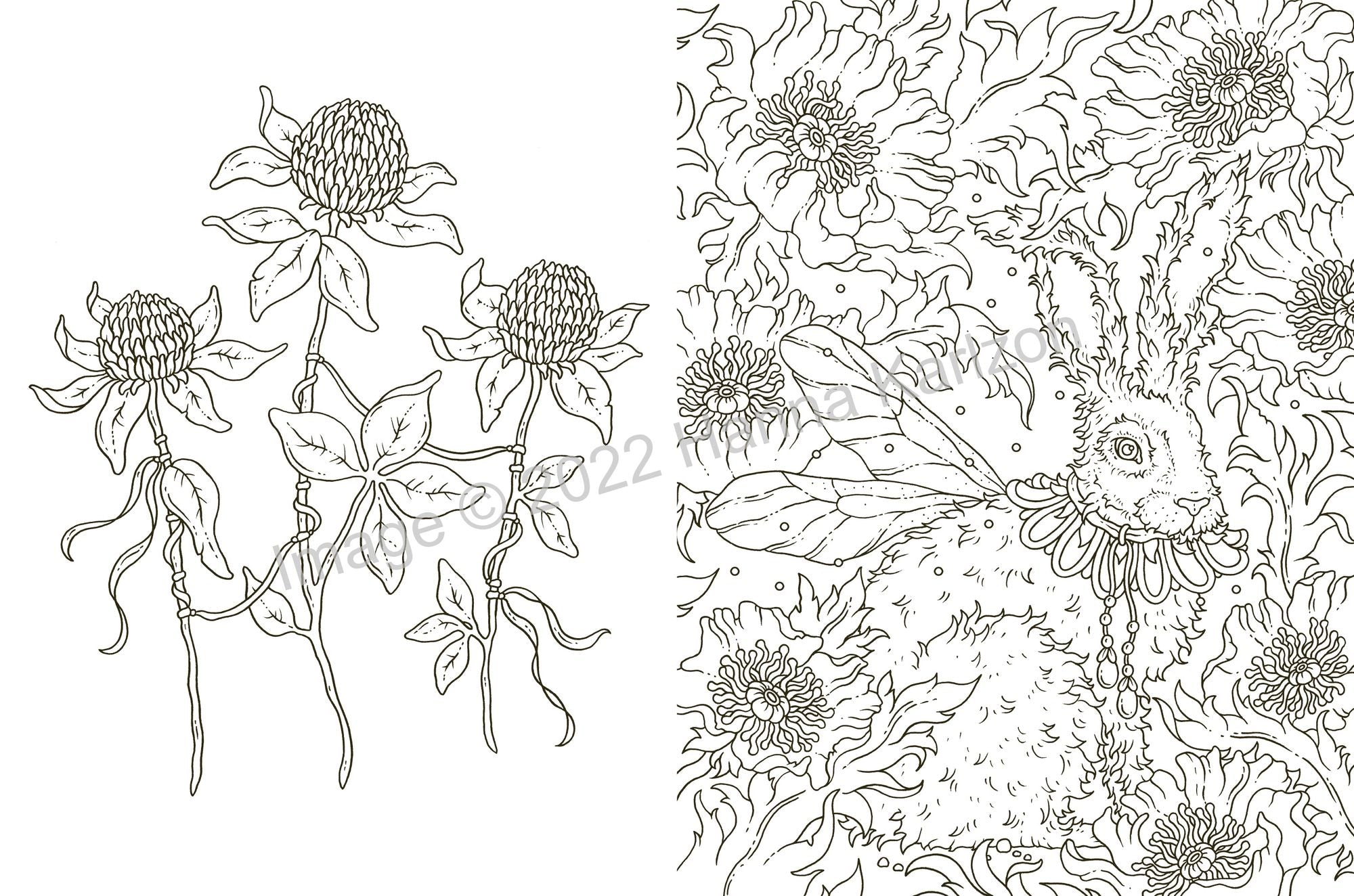 Tales from the Witch's Cottage: Hardcover adult coloring book featuring thick, high-quality paper