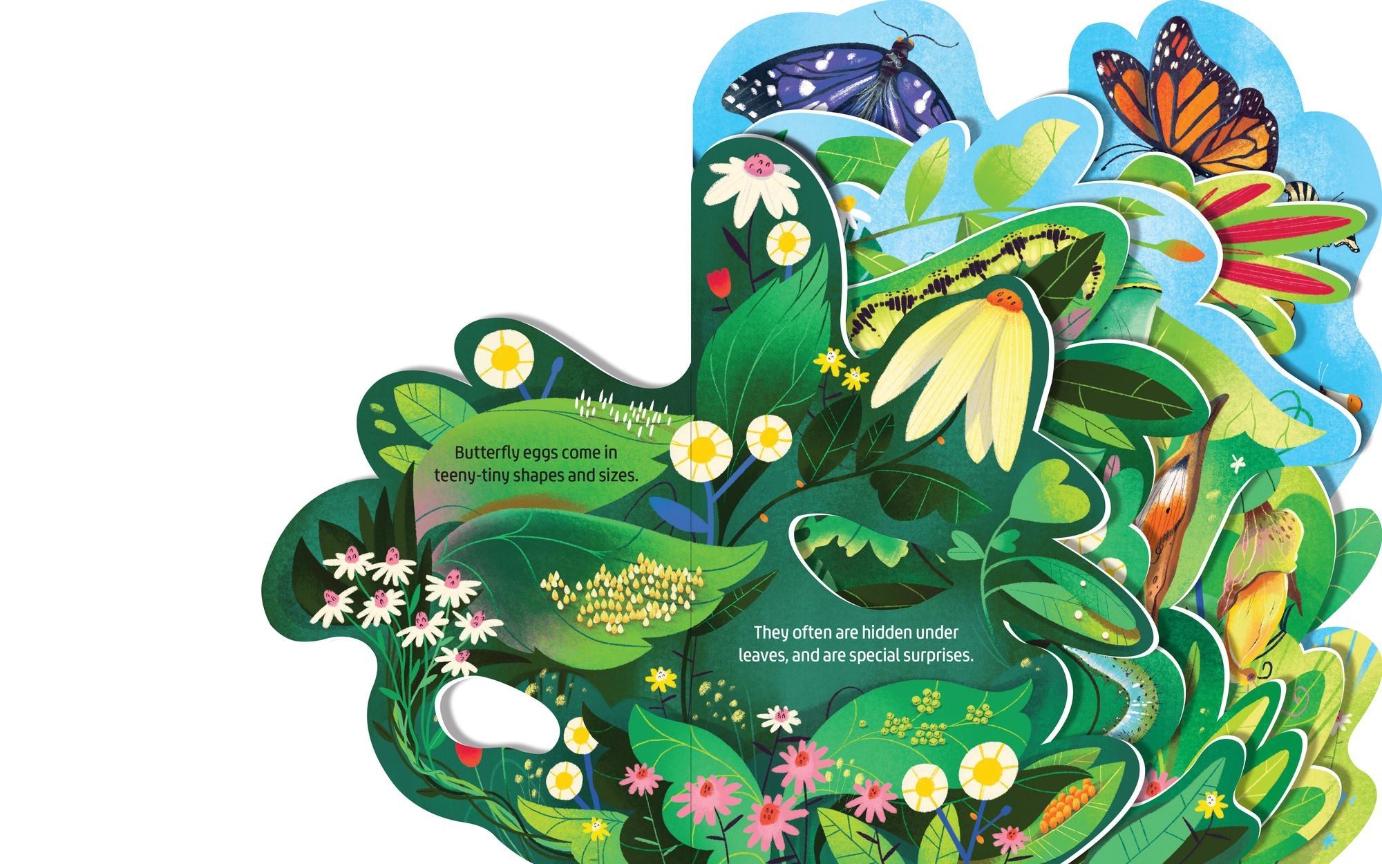 Beautiful Butterflies: A lush multi-layered die cut reveal celebrating Butterflies