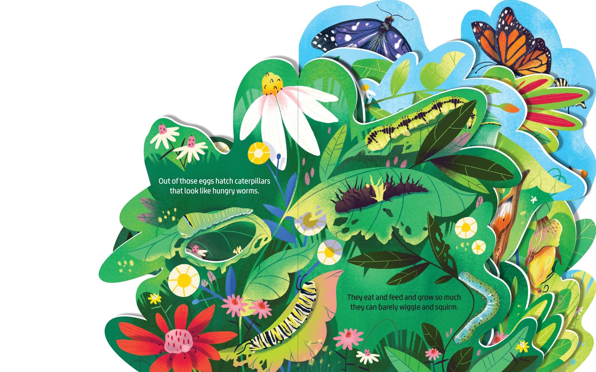Beautiful Butterflies: A lush multi-layered die cut reveal celebrating Butterflies
