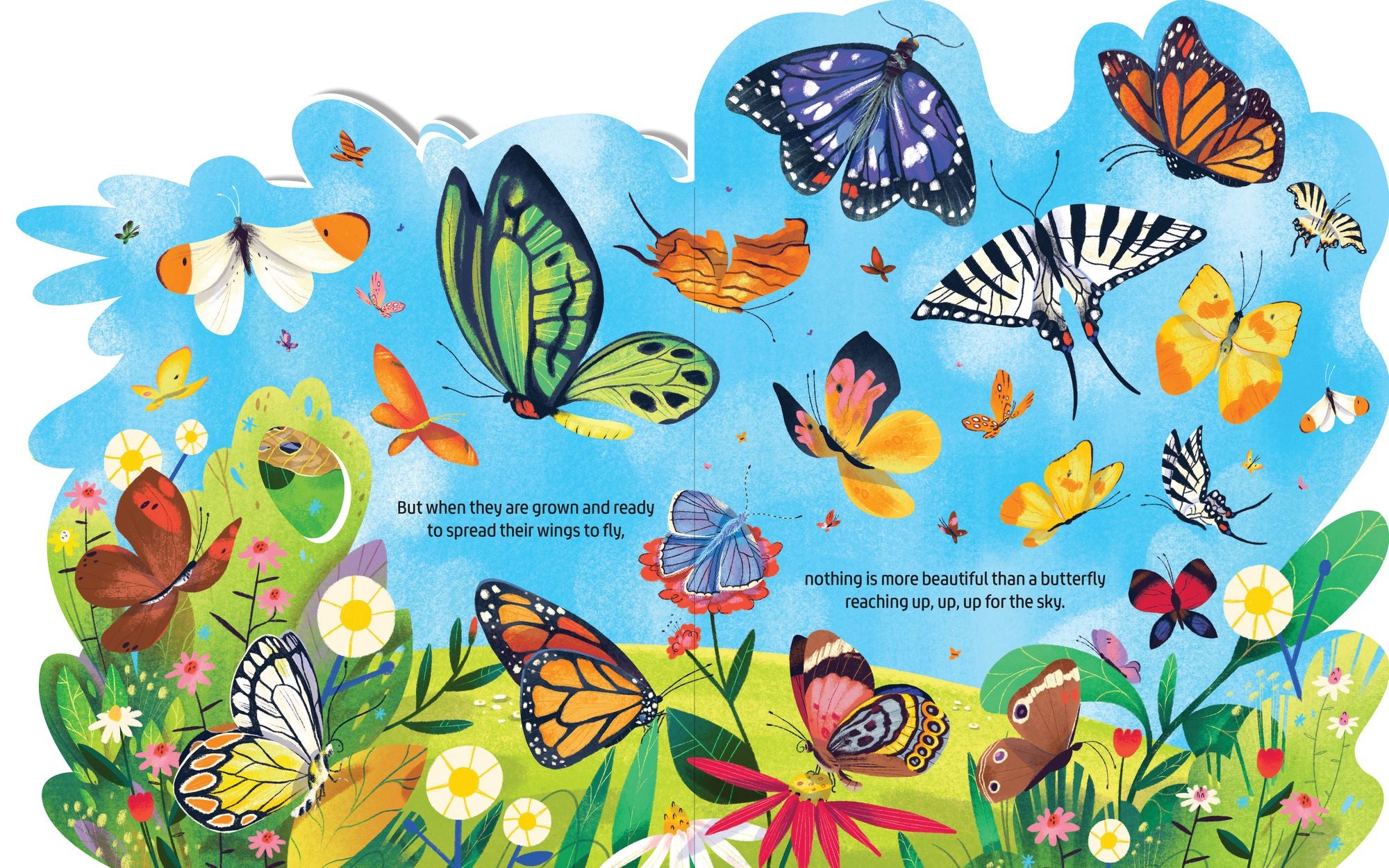 Beautiful Butterflies: A lush multi-layered die cut reveal celebrating Butterflies