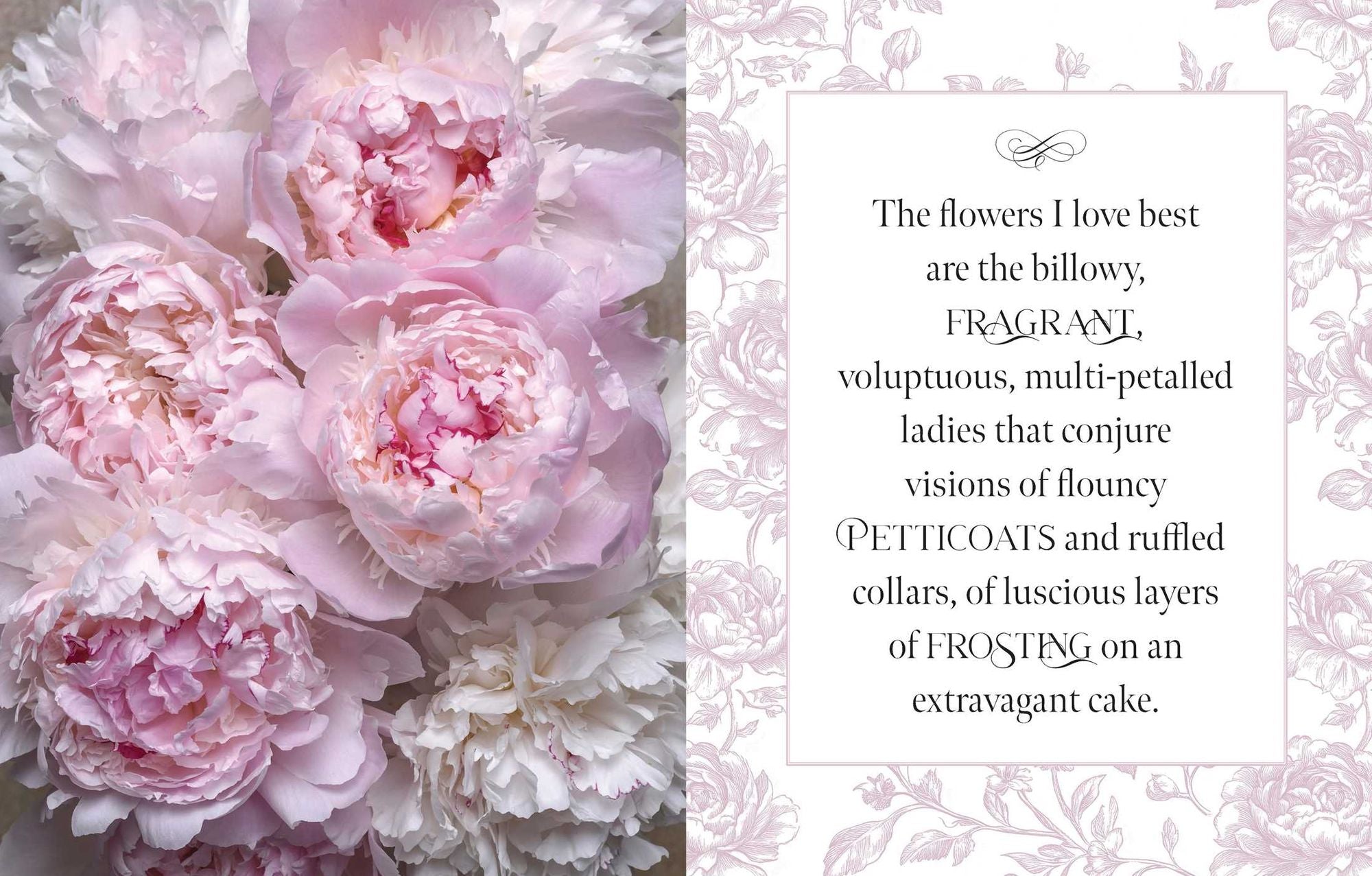 Beautiful Blooms: A Photographic Celebration