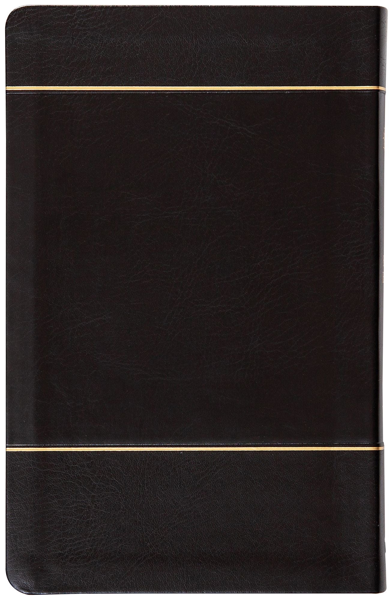 The Illuminated Messiah Bible: 66 Portraits of Jesus (KJV)
