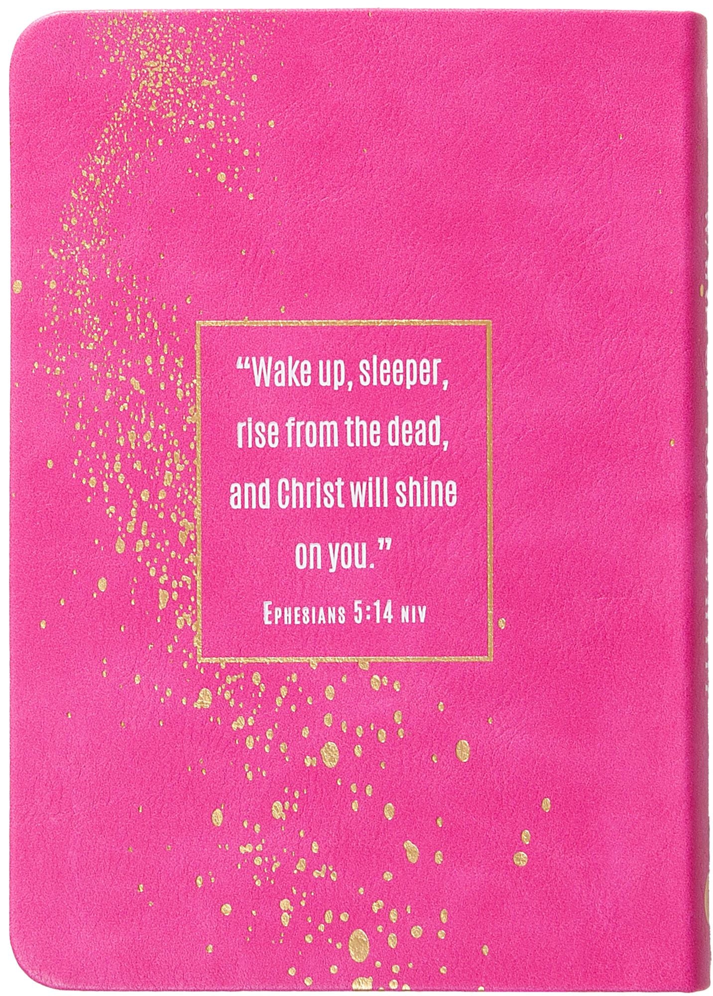 Wake Up Your Faith: 365 Daily Encounters with Jesus