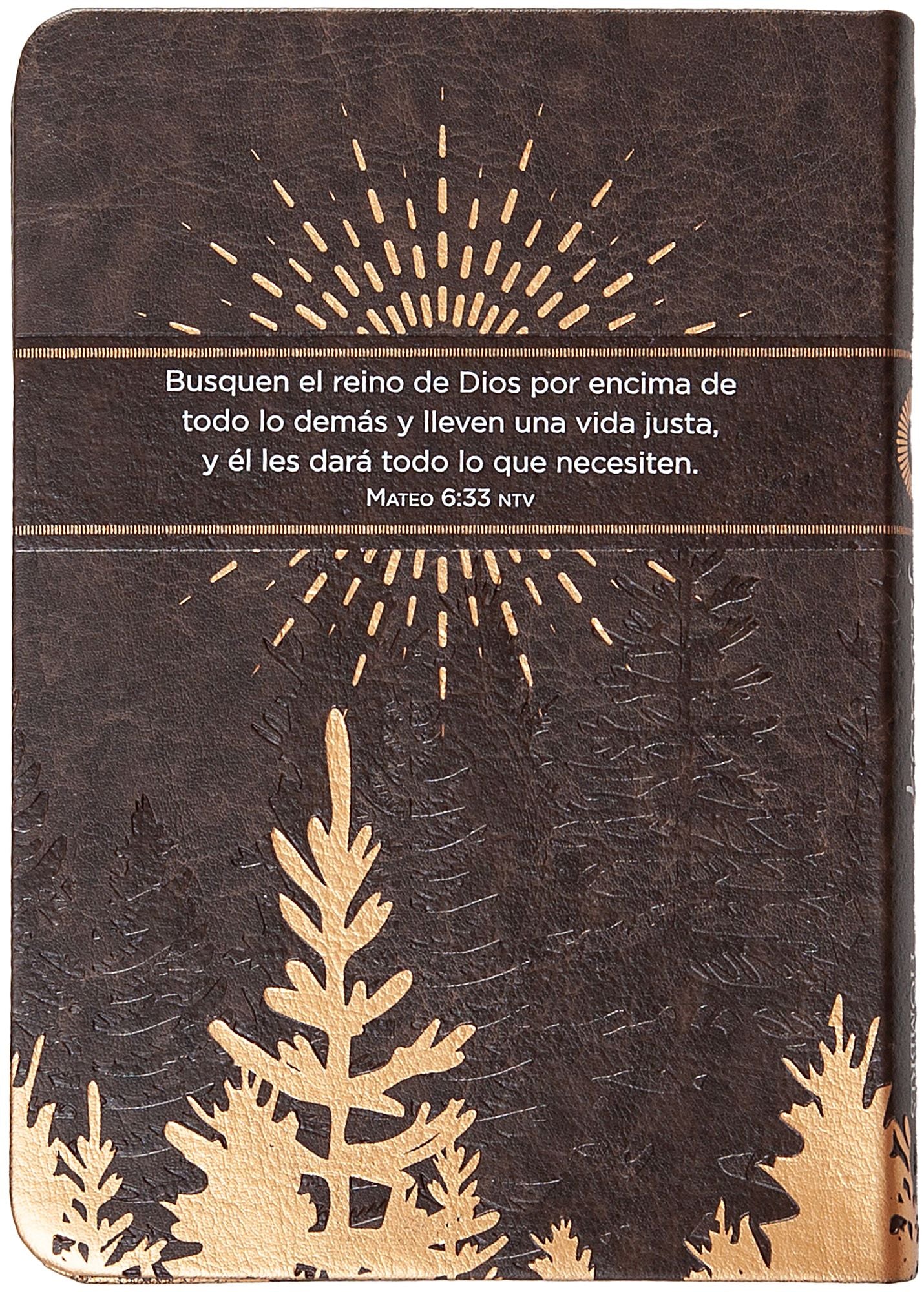 Jesús primero para hombres: 365 devociones para comenzar tu día