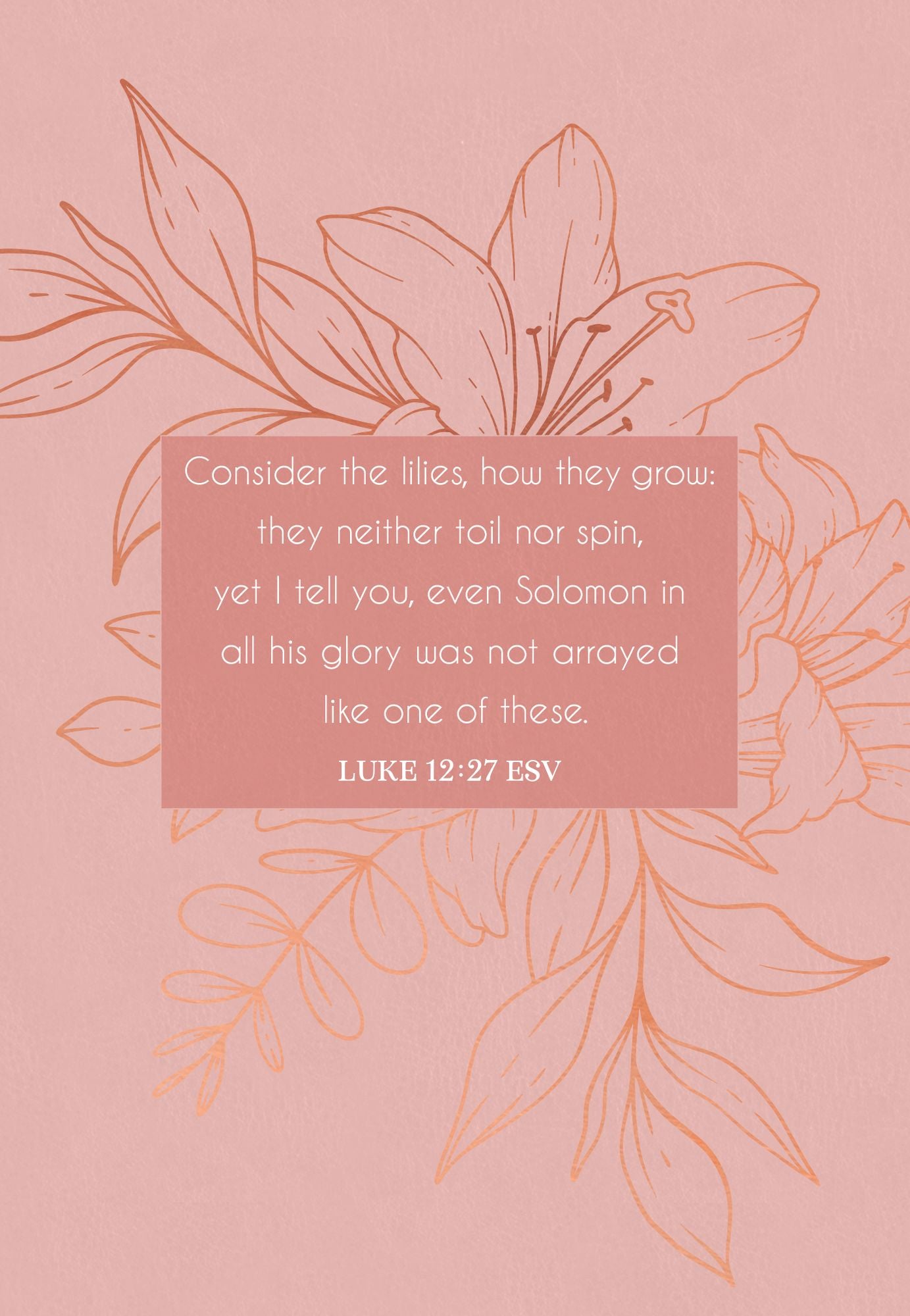 Consider the Lilies: 365 Devotions for Women
