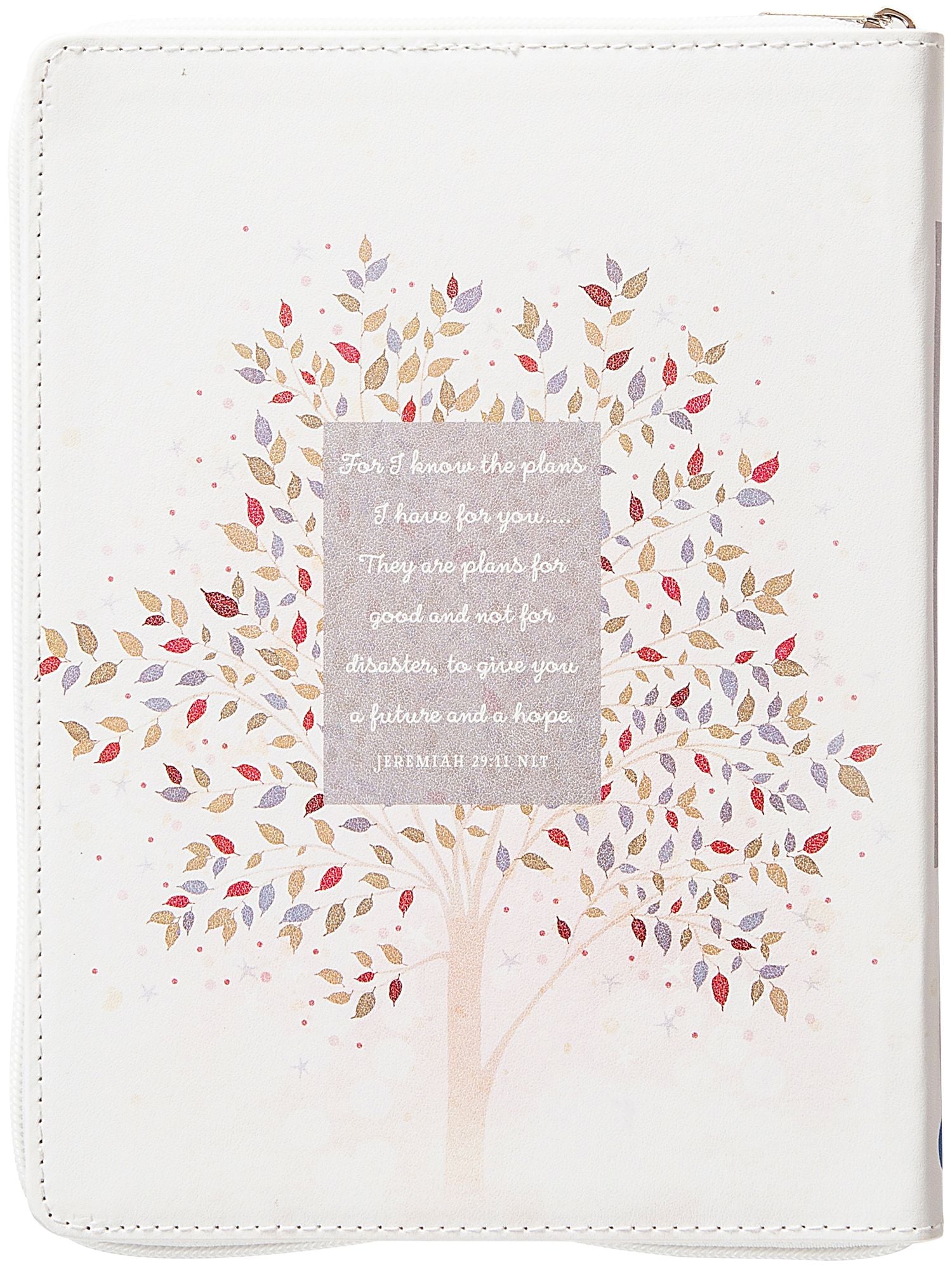 For I Know the Plans: Morning & Evening Devotional