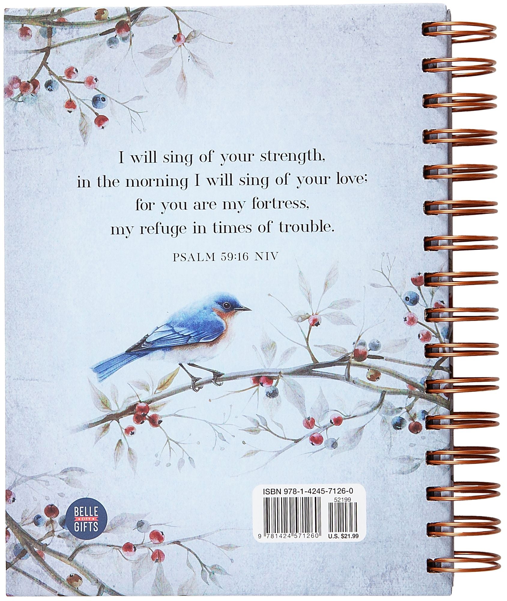 My Strength and My Song: 365 Daily Devotional Journal