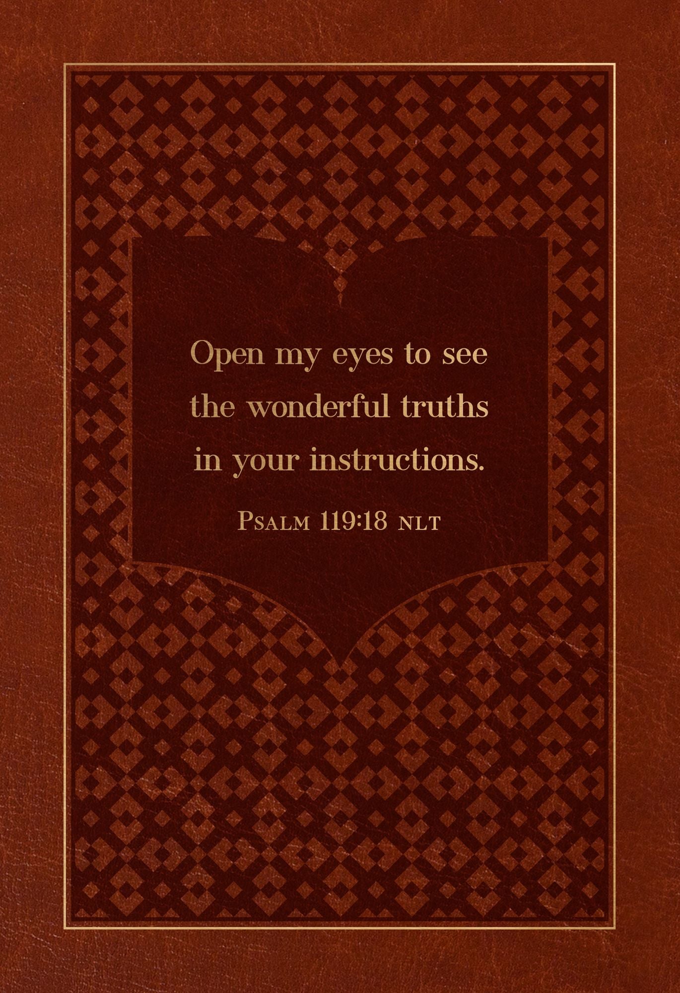 The Bible Reading Plan Devotional for Men: 365 Daily Meditations