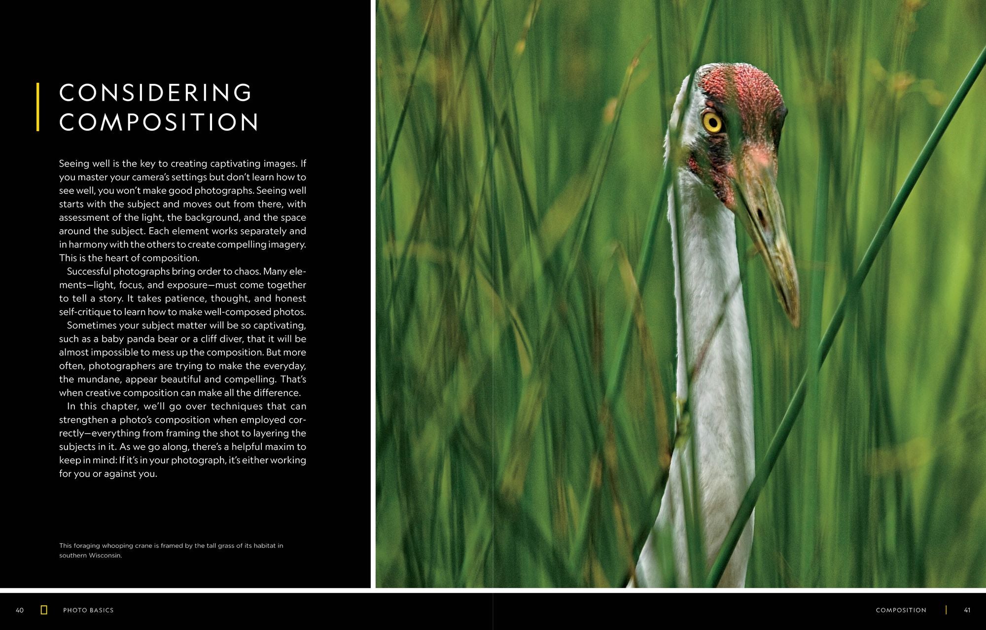 National Geographic Photo Basics: The Ultimate Beginner's Guide to Great Photography