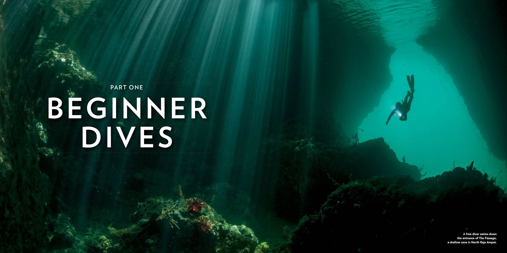 100 Dives of a Lifetime: The World's Ultimate Underwater Destinations