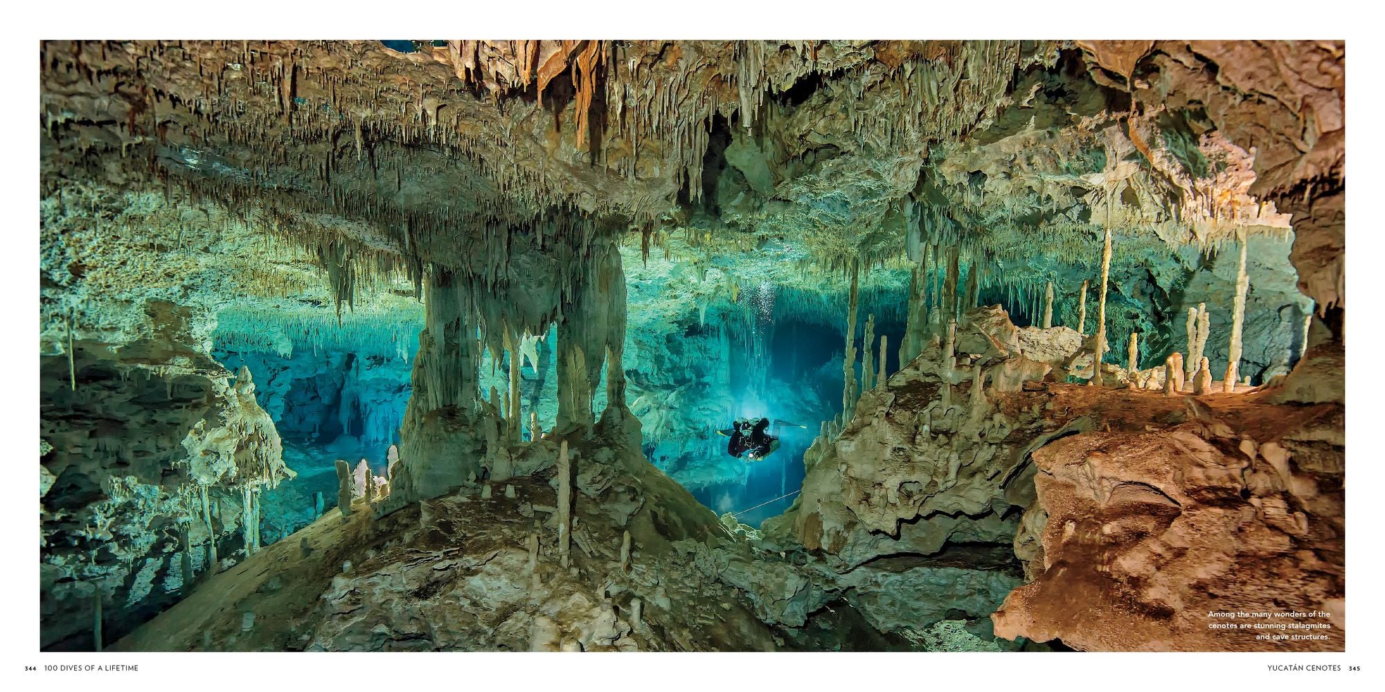 100 Dives of a Lifetime: The World's Ultimate Underwater Destinations