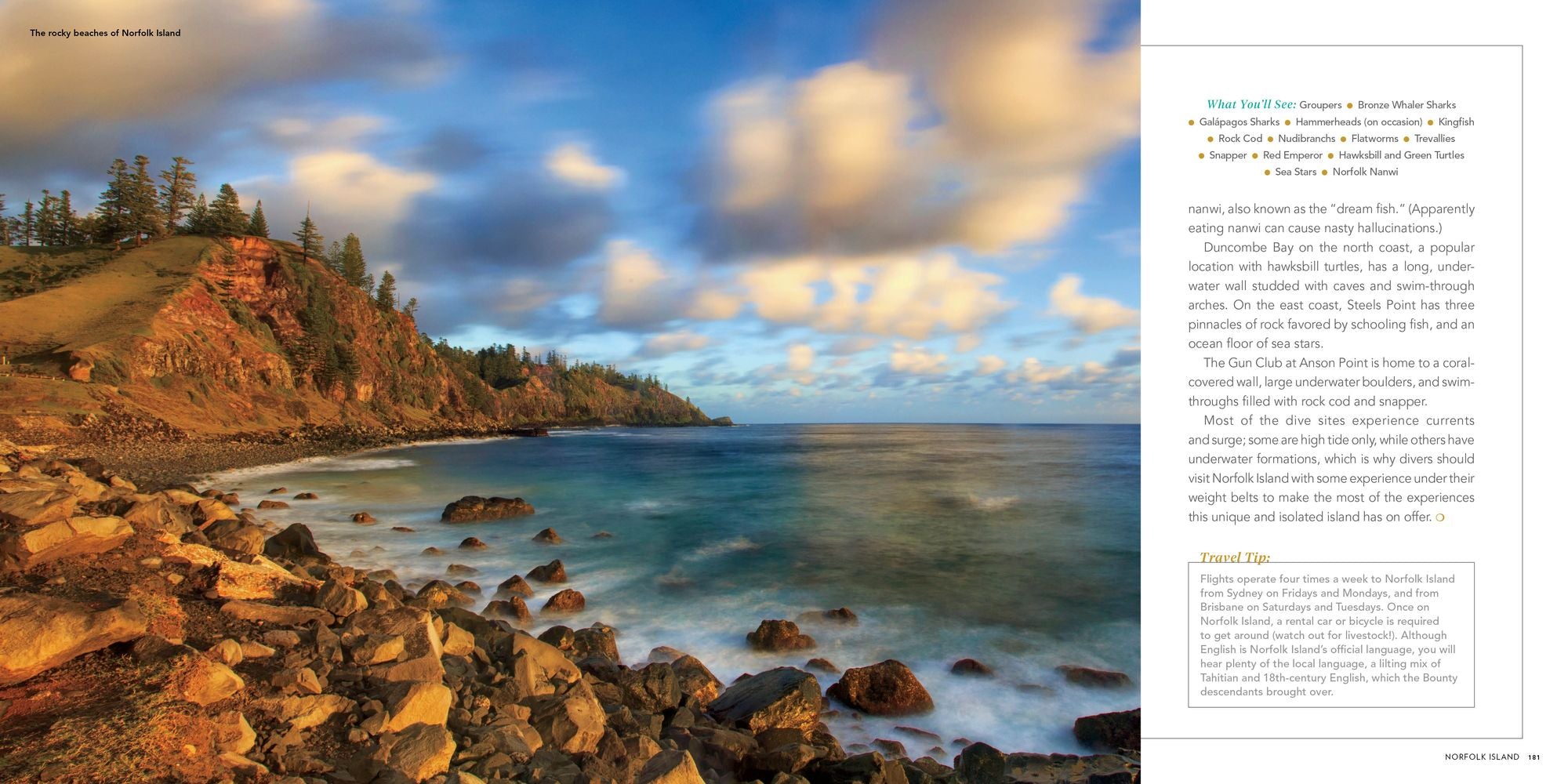 100 Dives of a Lifetime: The World's Ultimate Underwater Destinations