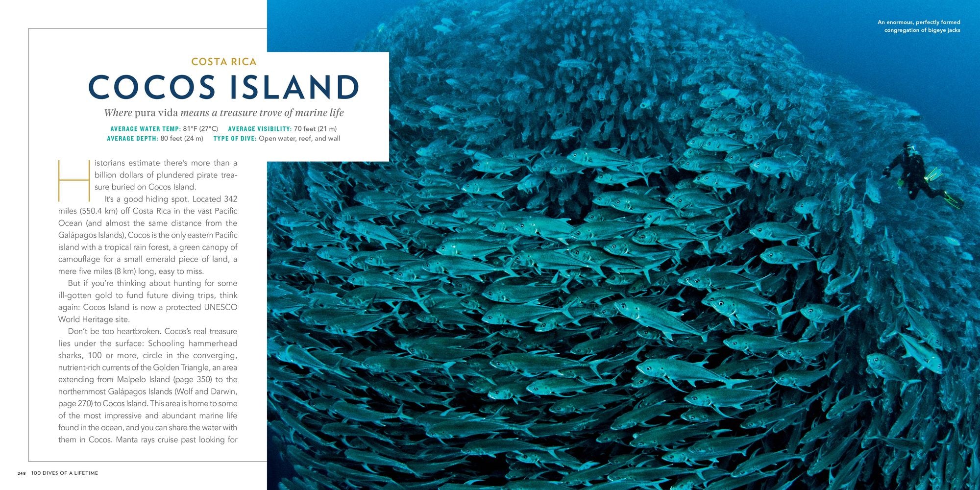 100 Dives of a Lifetime: The World's Ultimate Underwater Destinations