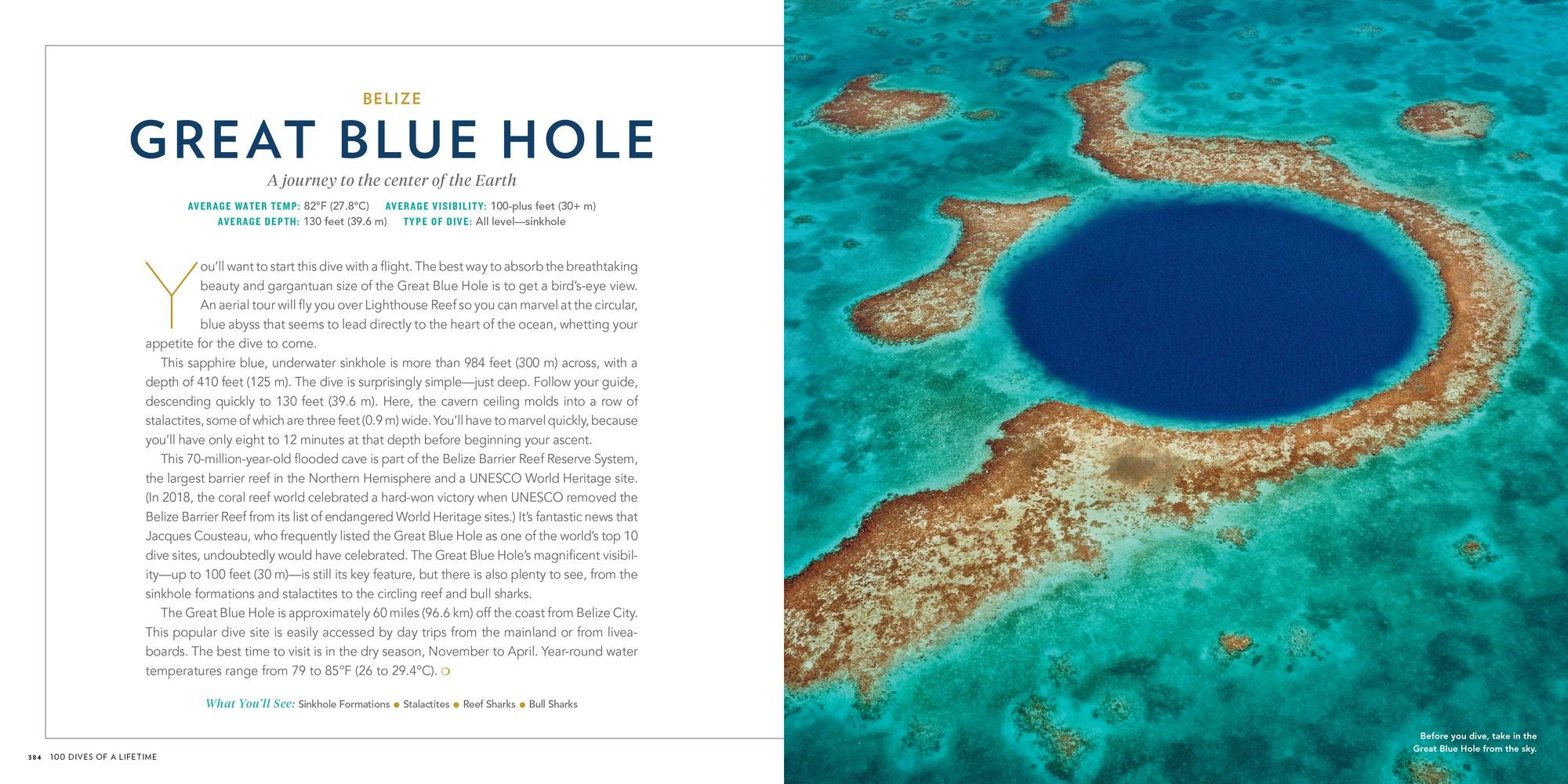 100 Dives of a Lifetime: The World's Ultimate Underwater Destinations