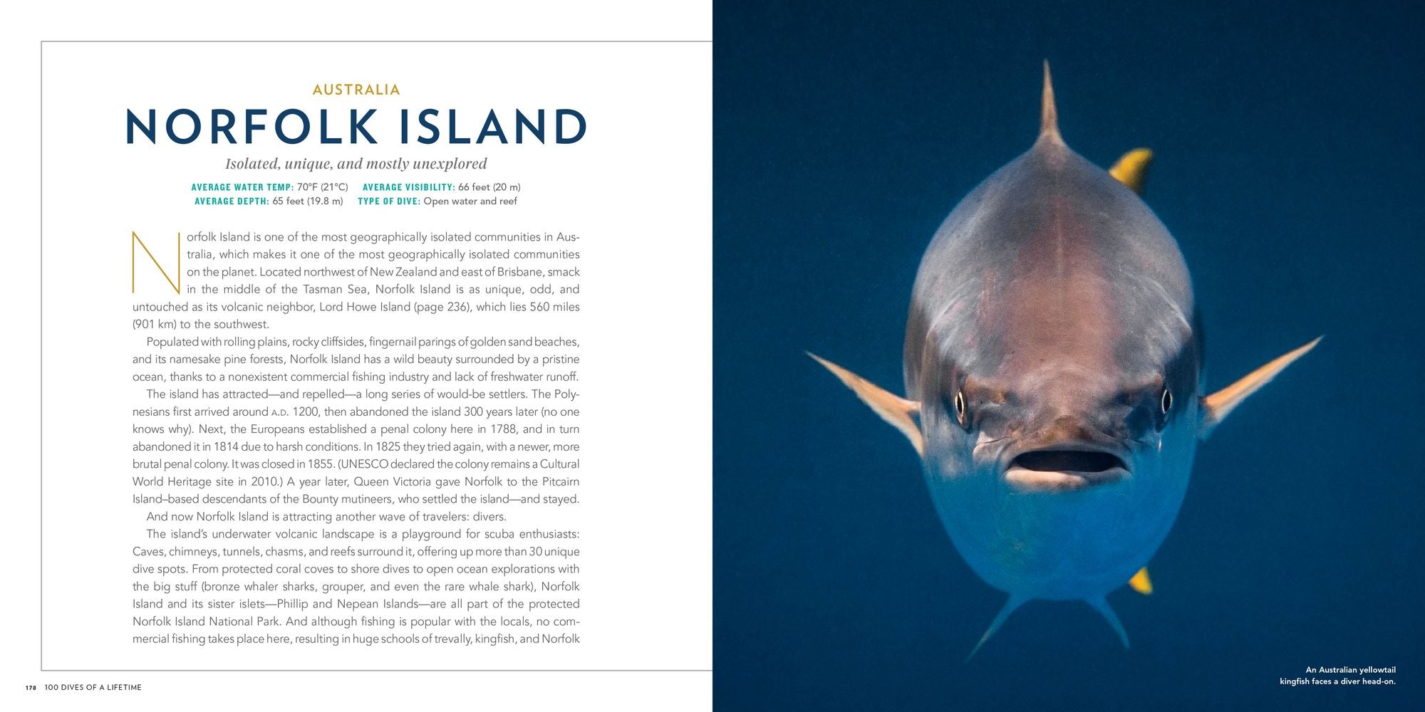 100 Dives of a Lifetime: The World's Ultimate Underwater Destinations