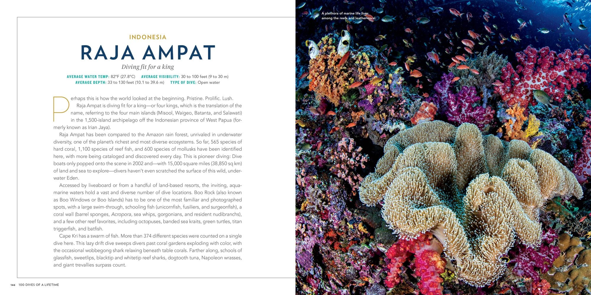 100 Dives of a Lifetime: The World's Ultimate Underwater Destinations