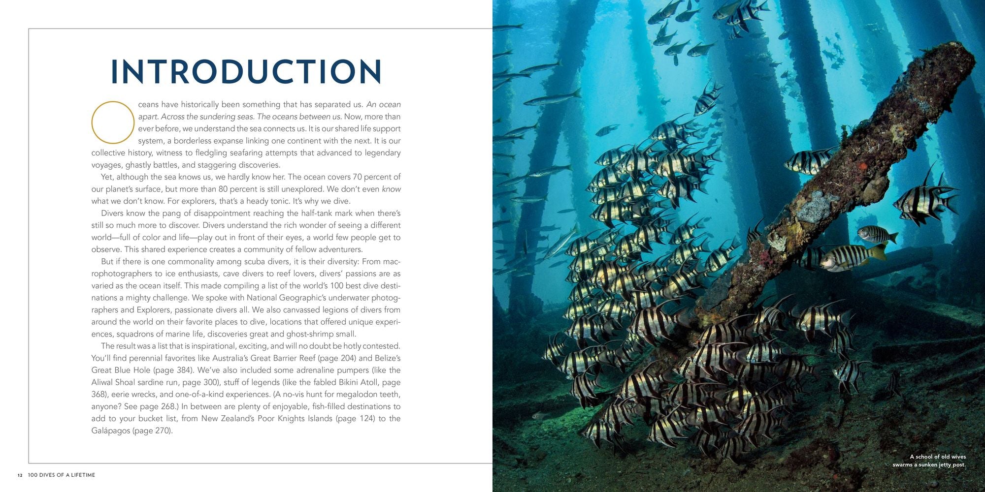 100 Dives of a Lifetime: The World's Ultimate Underwater Destinations