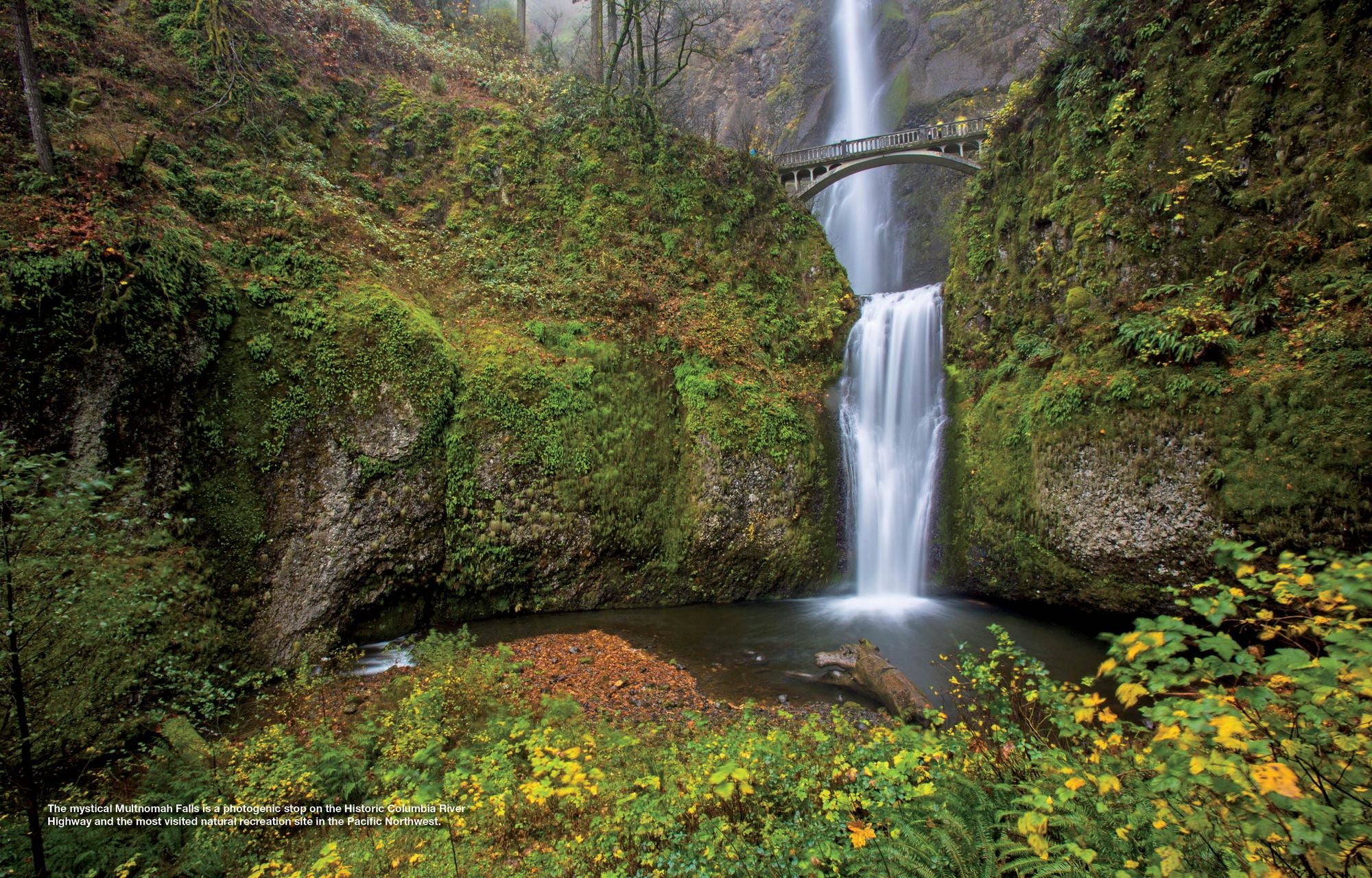 100 Trails, 5,000 Ideas: Where to Go, When to Go, What to See, What to Do