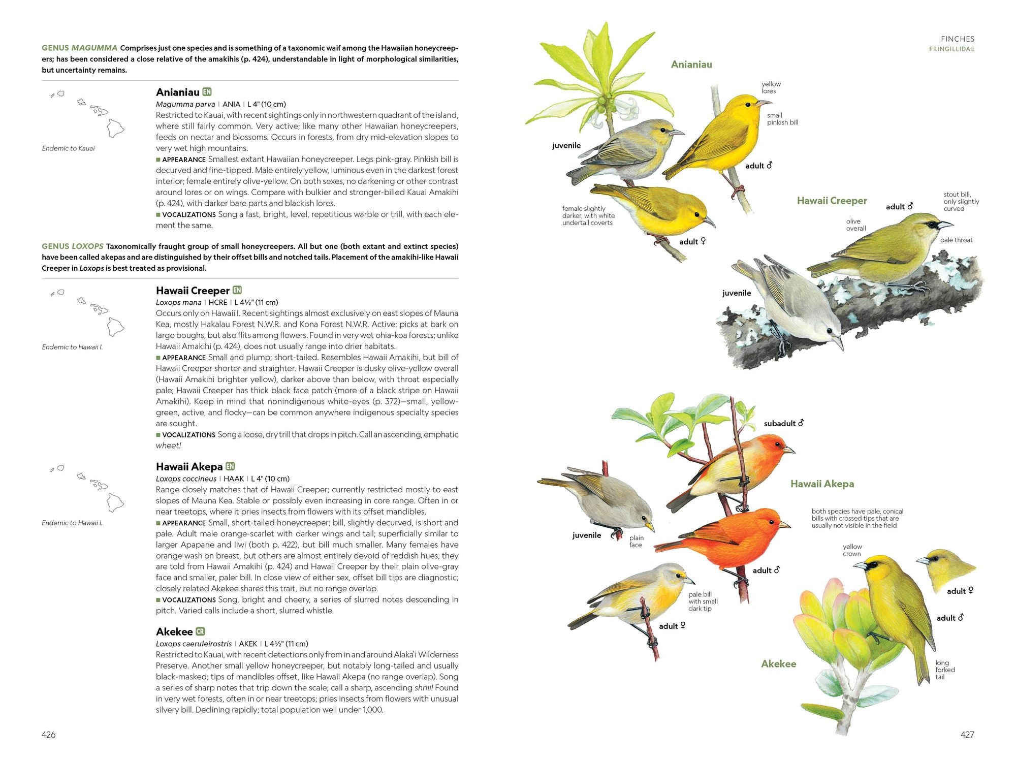 National Geographic Field Guide to the Birds of the United States and Canada, 8th edition