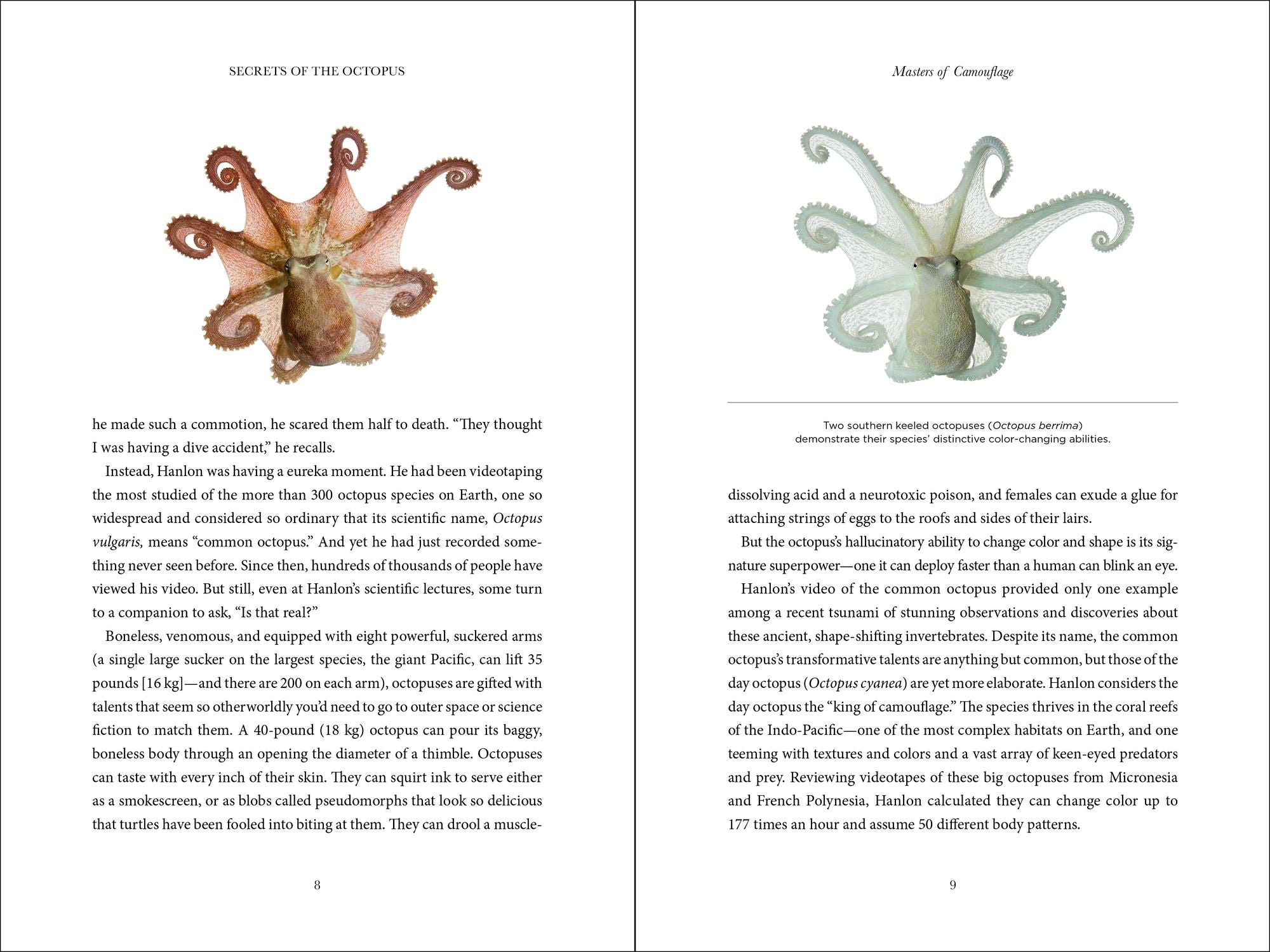 Secrets of the Octopus