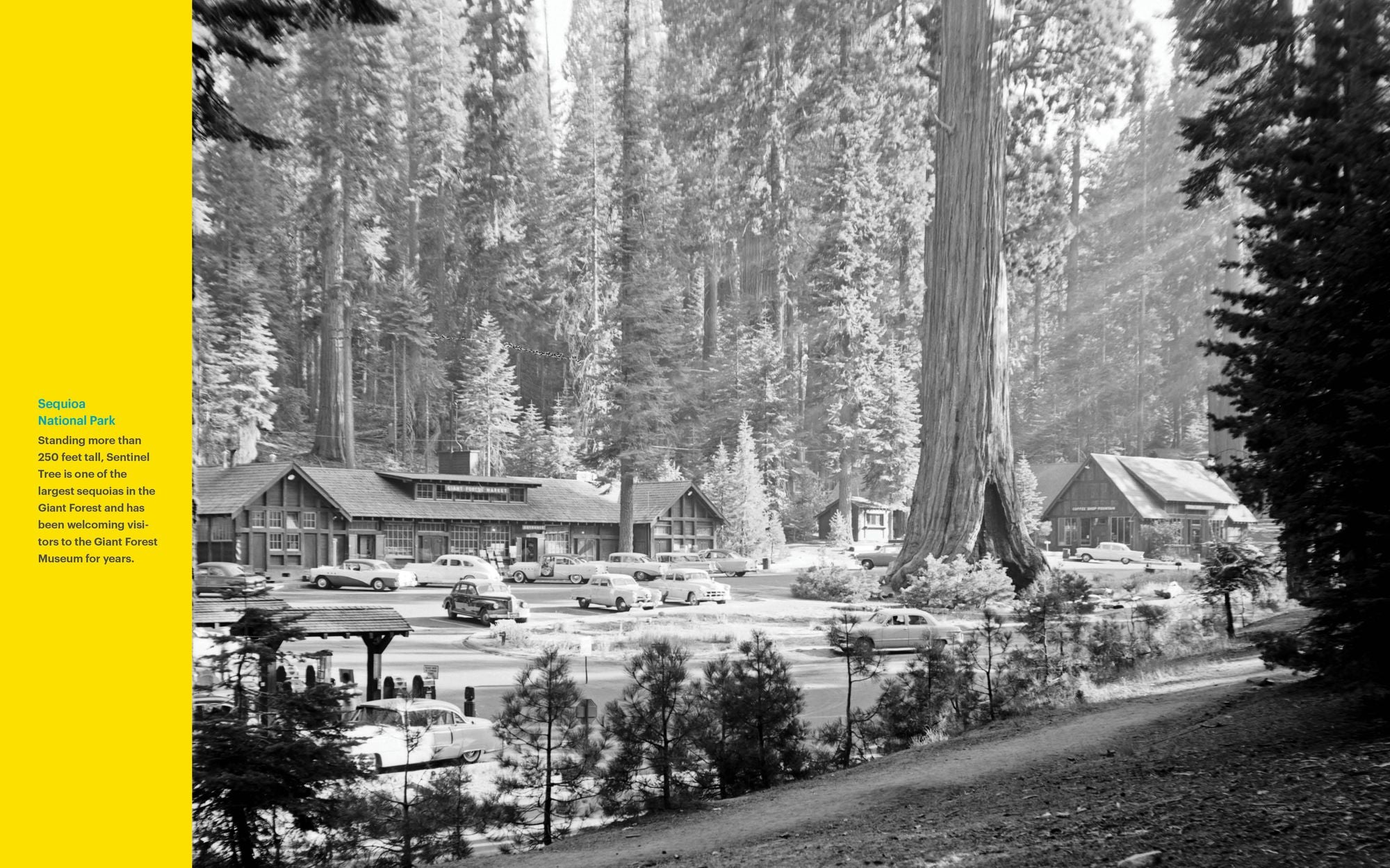 National Geographic National Parks Cookbook: Dishes Inspired by America's Great Outdoors