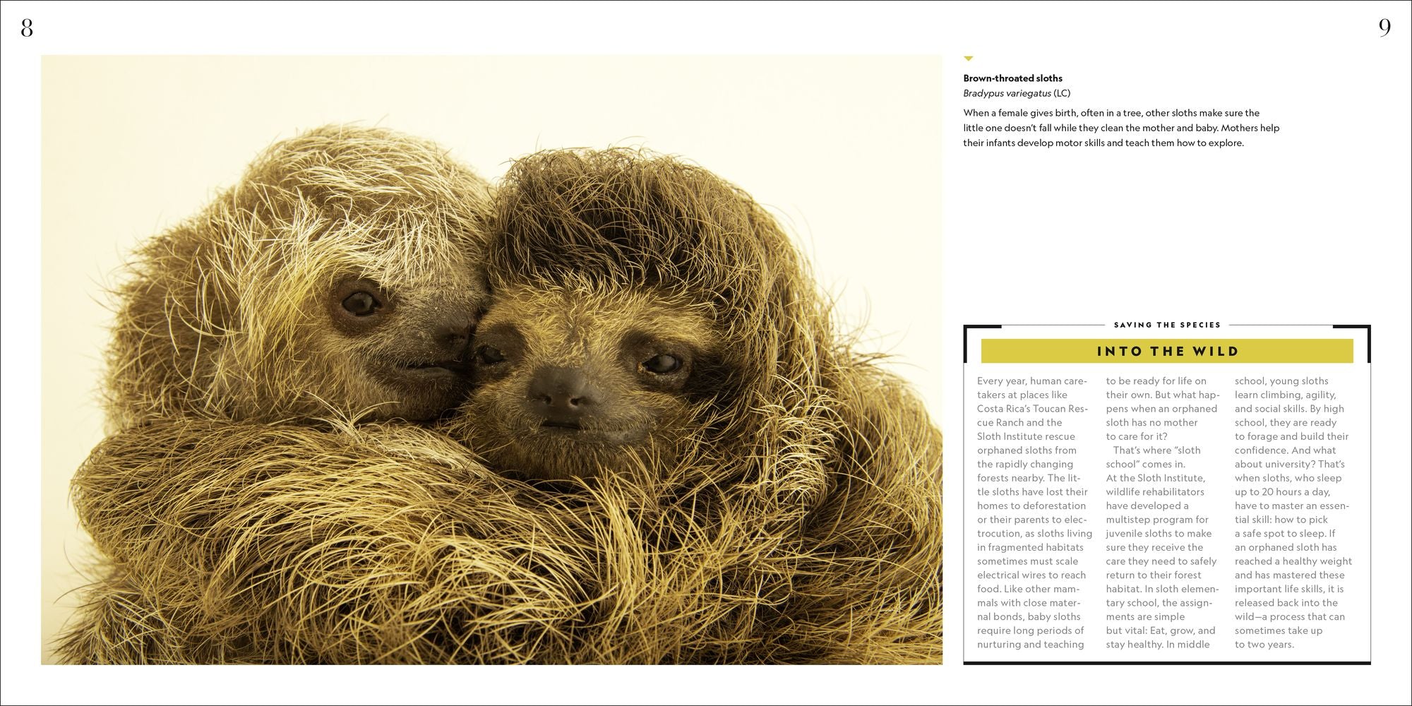 National Geographic Photo Ark Babies: Growing Up in the Animal World
