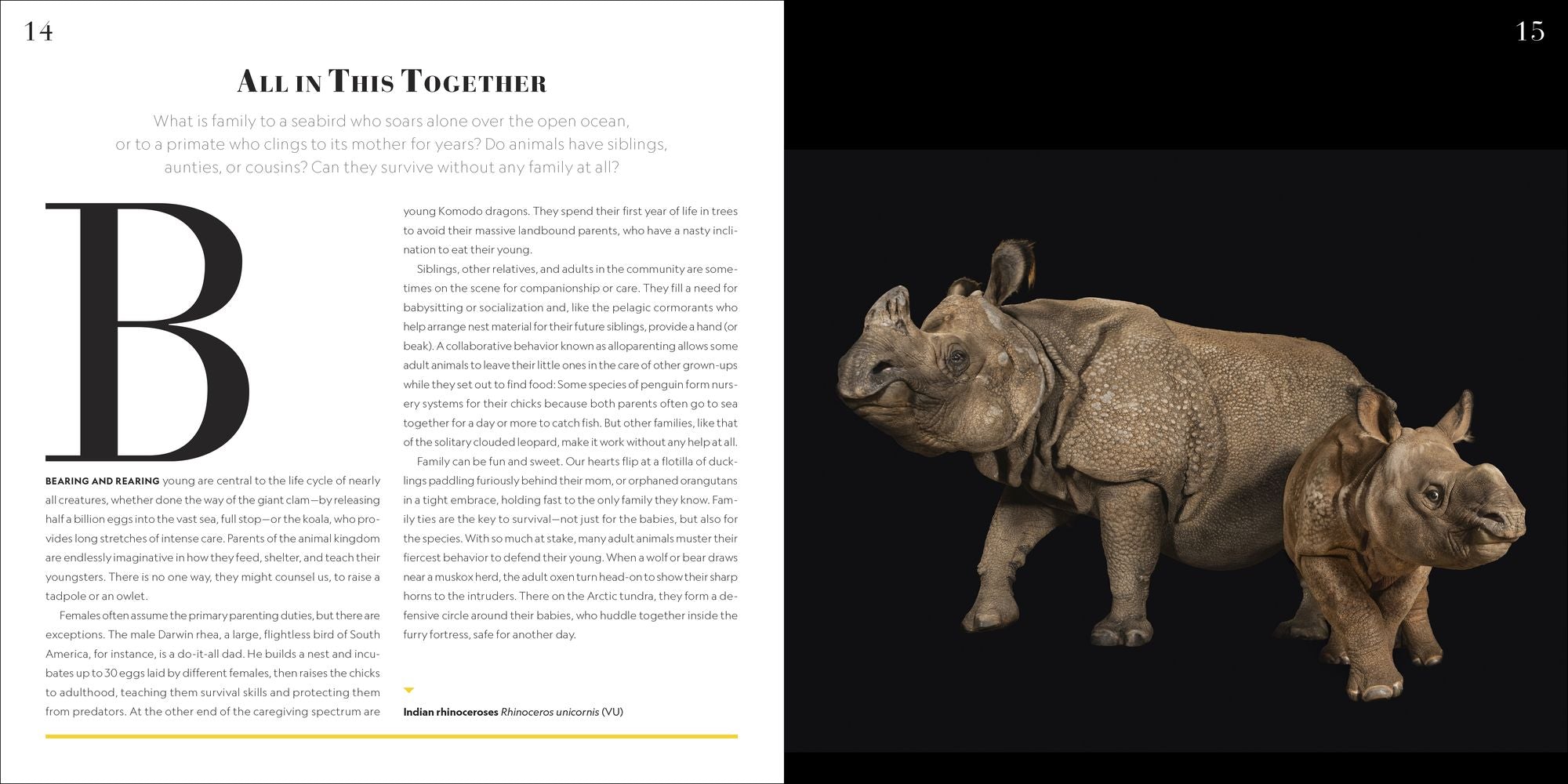 National Geographic Photo Ark Babies: Growing Up in the Animal World