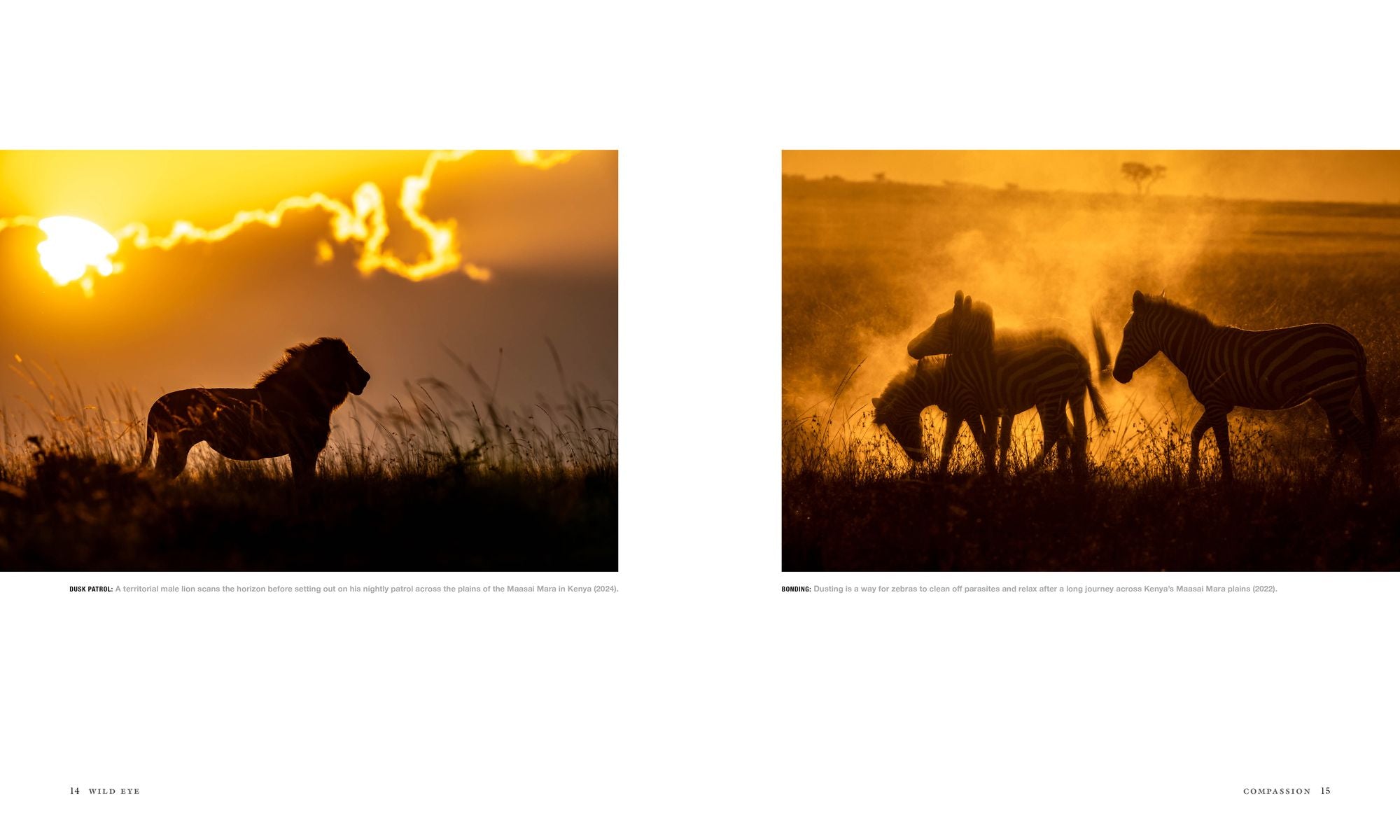 Wild Eye: A Life in Photographs