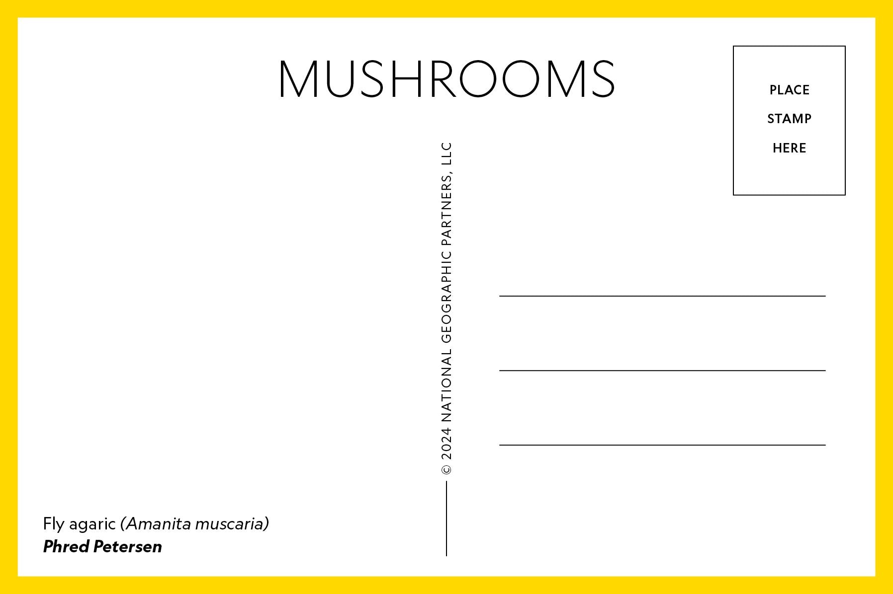Mushrooms: 50 Postcards